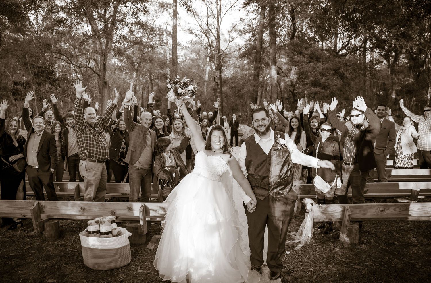 Wedding ceremony guests celebrating outdoors under trees at golden hour.