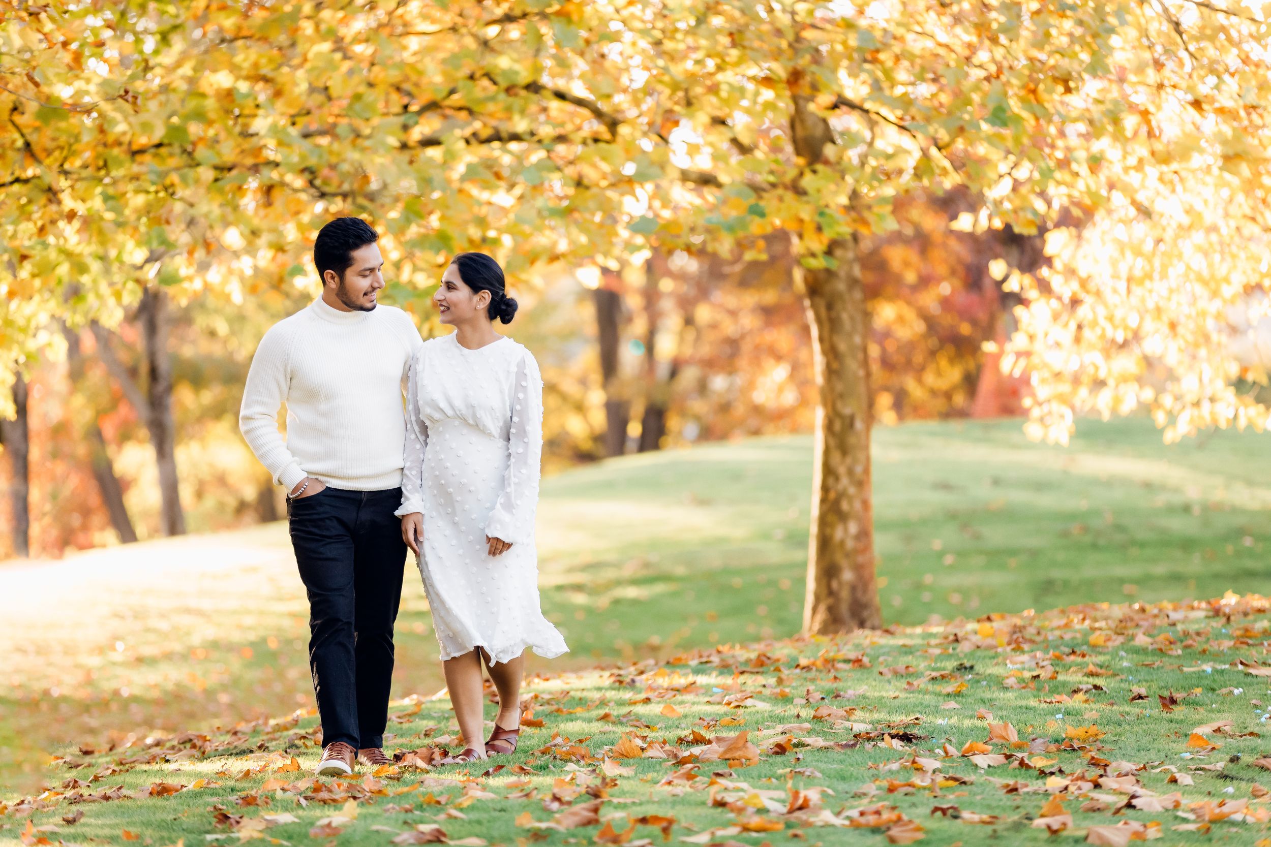 A couple takes a romantic walk through a park with golden fall foliage.