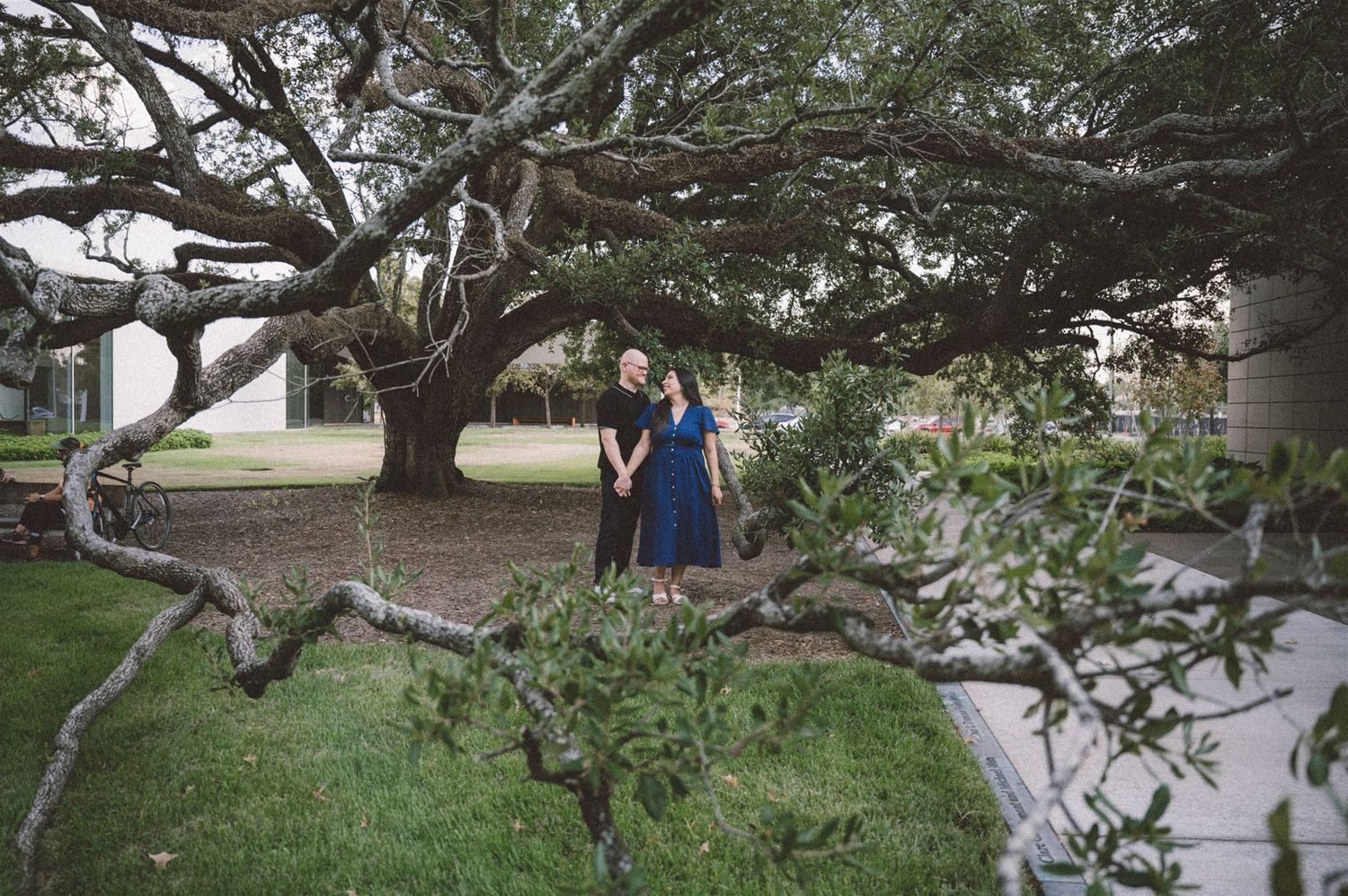 A couple enjoys a romantic moment under a large sprawling tree in a park setting.