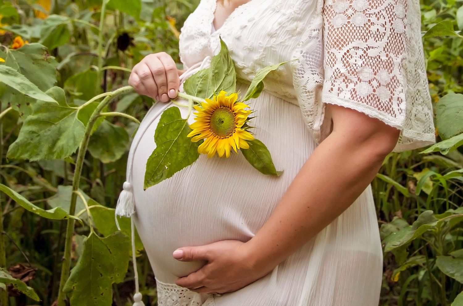 Contact Sugar Sweet Studio