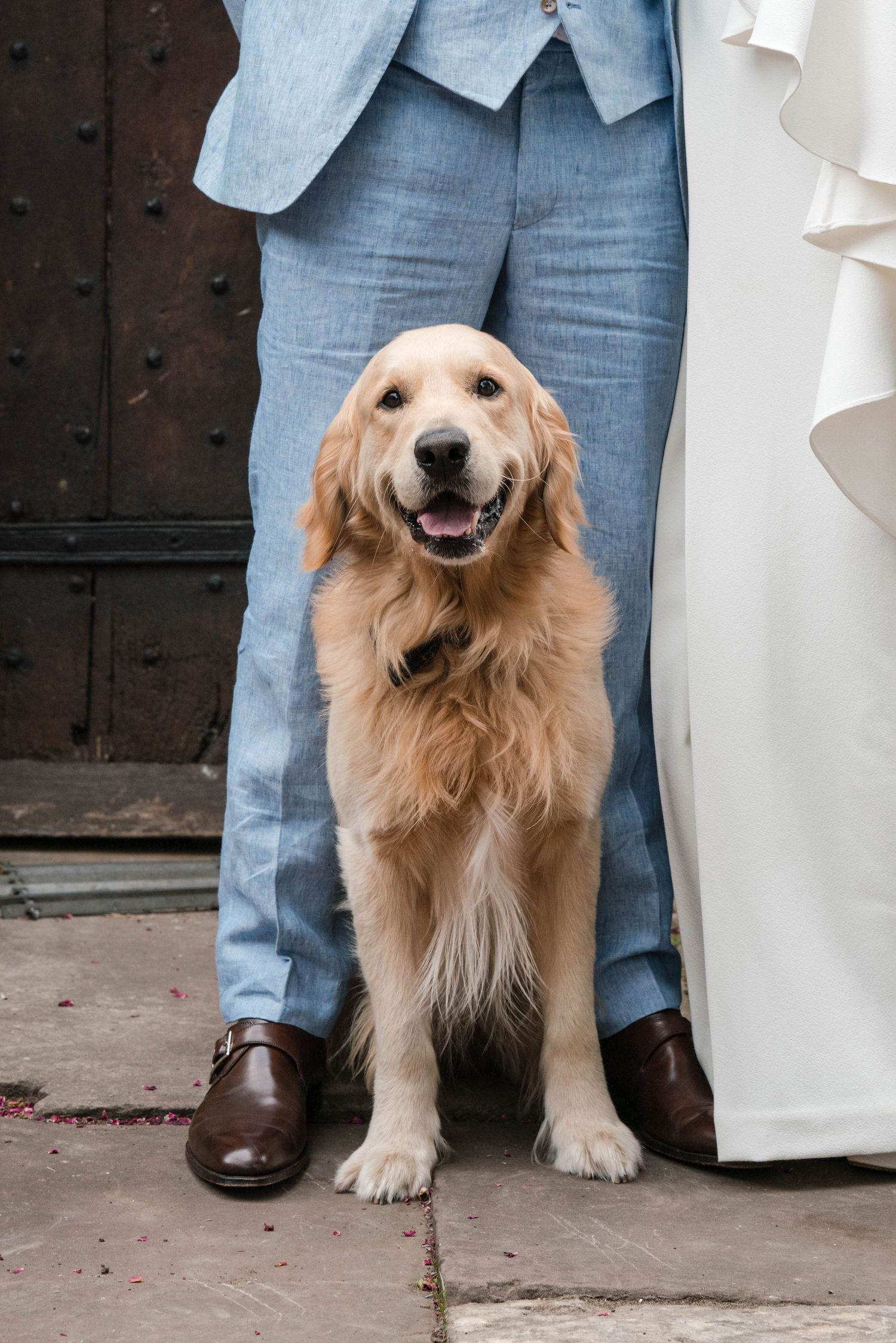 Zara Davis Wedding Photography dogs at weddings Stroud Cotswolds Gloucestershire Ireland France Italy