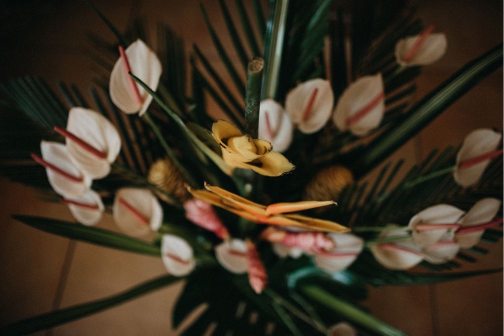 Des photos de mariage pleines de complicité et d’émotion, créées par Photographie & Moi et La Belle Photo by Amin dans le Gard.