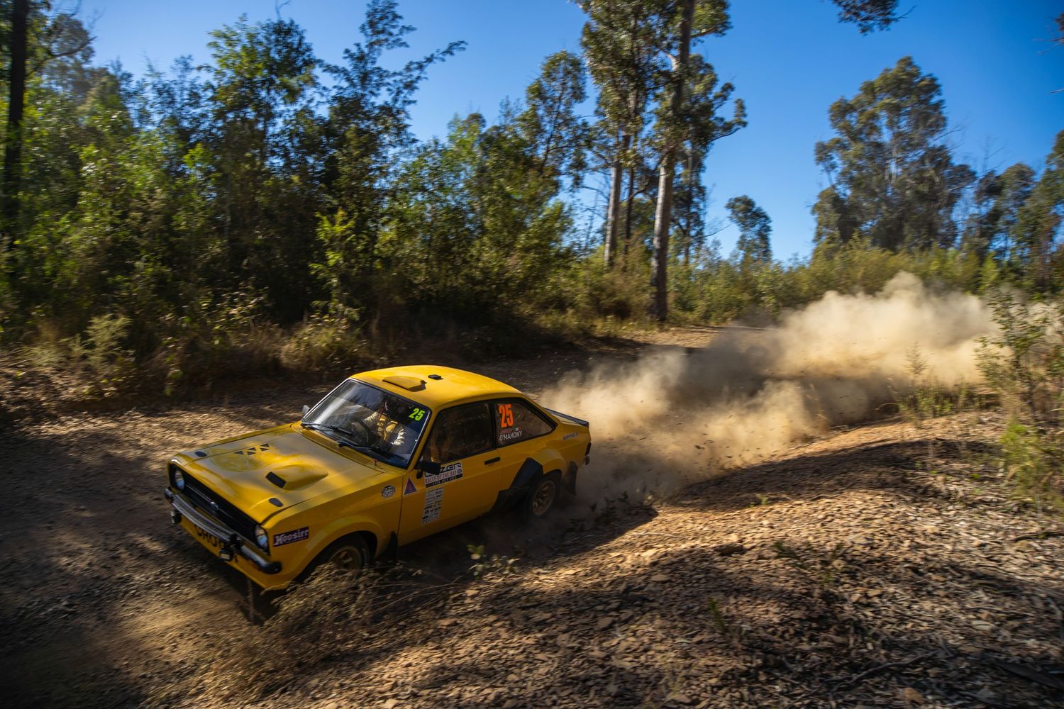 Yellow vintage rally car kicks up dust while navigating dirt track in forest.