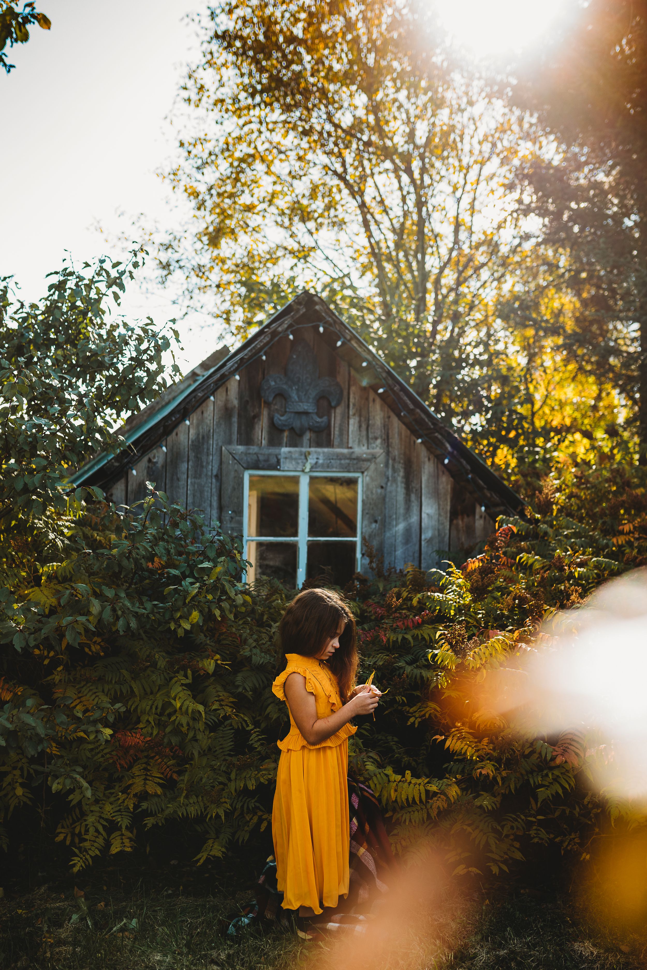 Rustic wooden cabin surrounded by autumn foliage with golden sunlight filtering through.