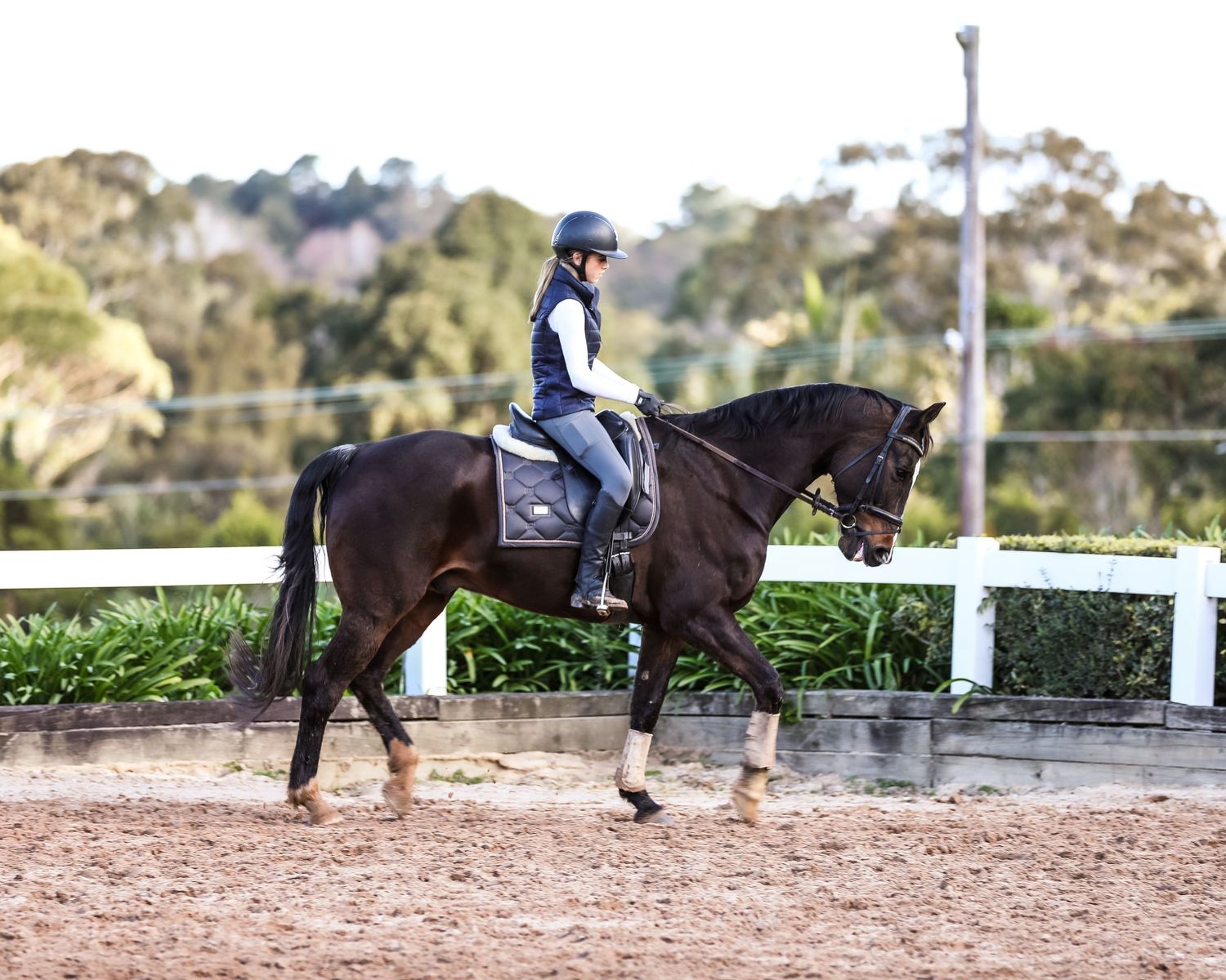 Equestrian photography.