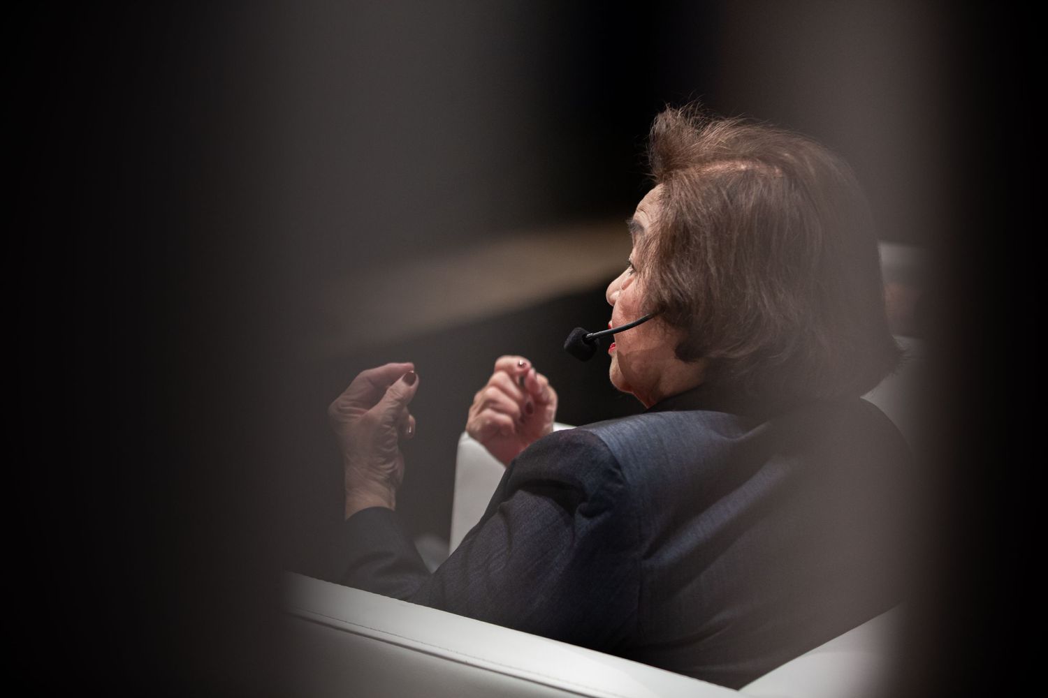 Side profile view of a speaker gesturing during a conference presentation.