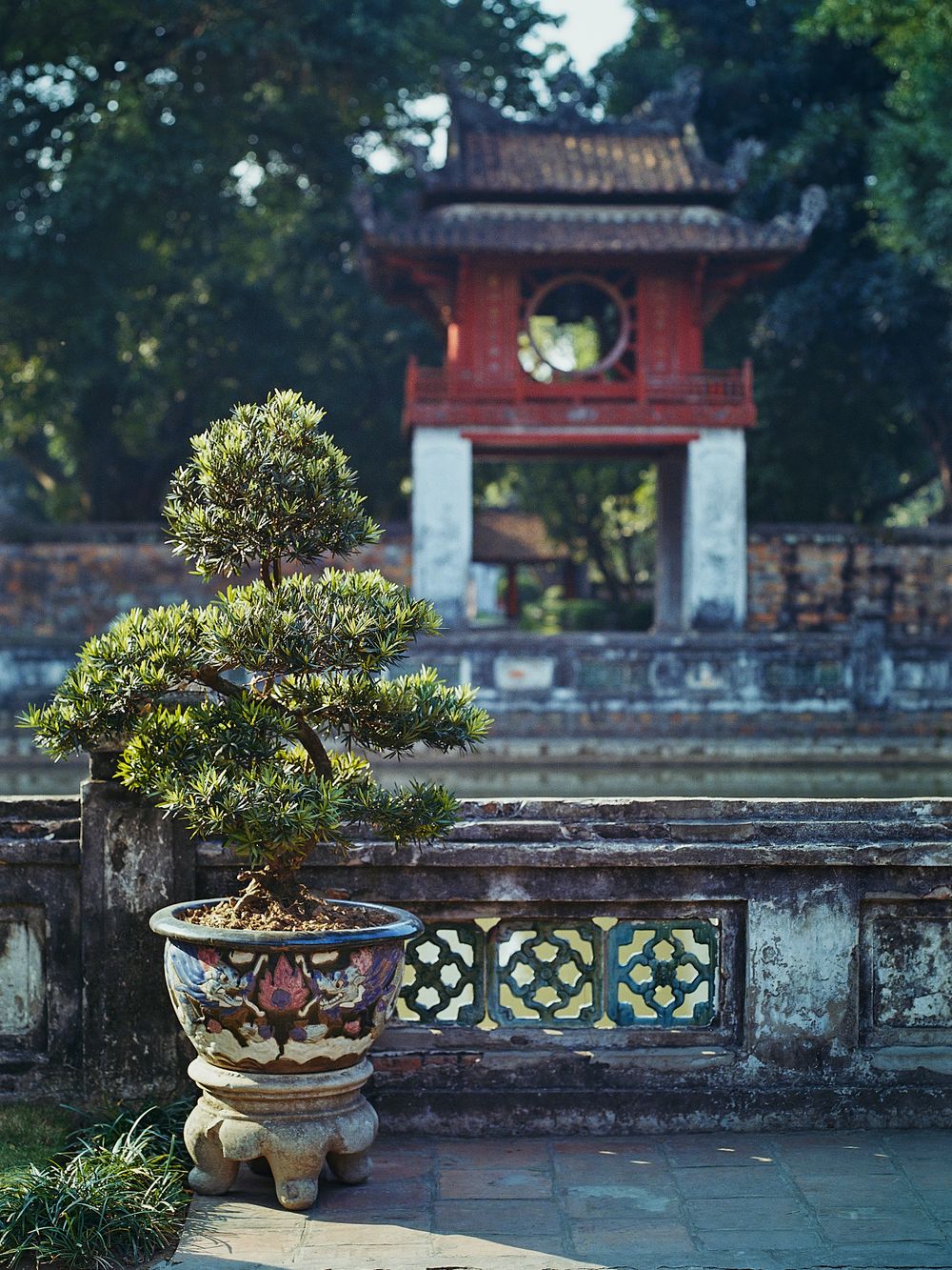 Gardens at Temple of Literature, Hanoi by Adam West Photo