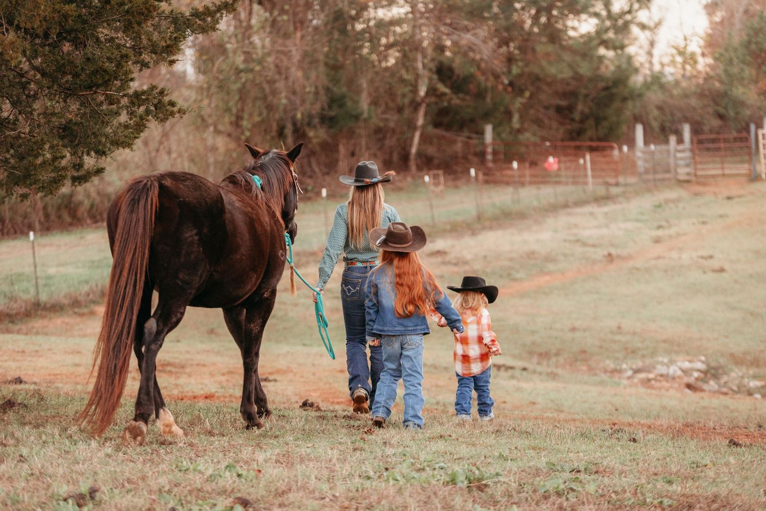 Family with horse in a pasture. Greenville sc newborn photographer, Easley sc newborn photographer, Upstate sc newborn photographer
