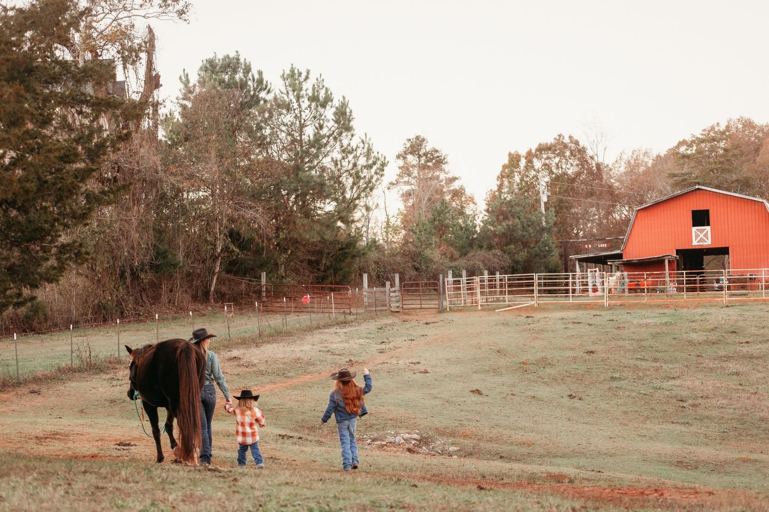 Family with horse. Greenville sc newborn photographer, Easley sc newborn photographer, Upstate sc newborn photographer