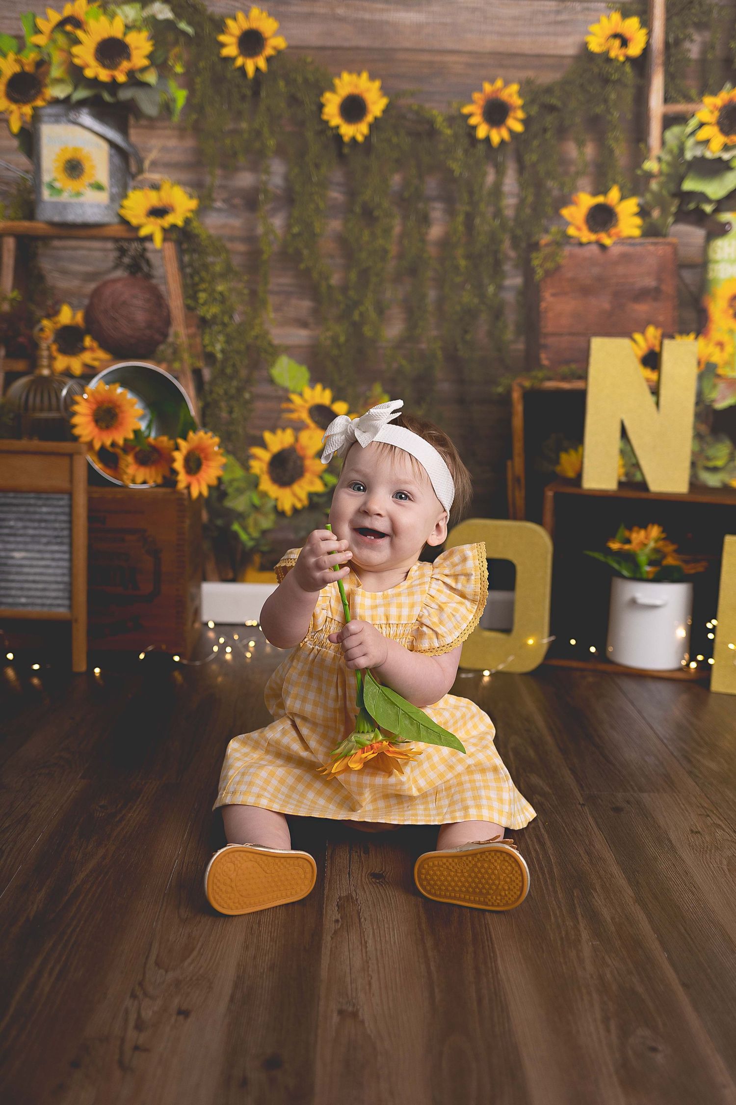 Cakesmash photoshoot Waukesha, Hartland, Oconomowoc, WI