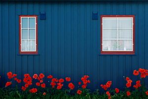 Colors of Norway
