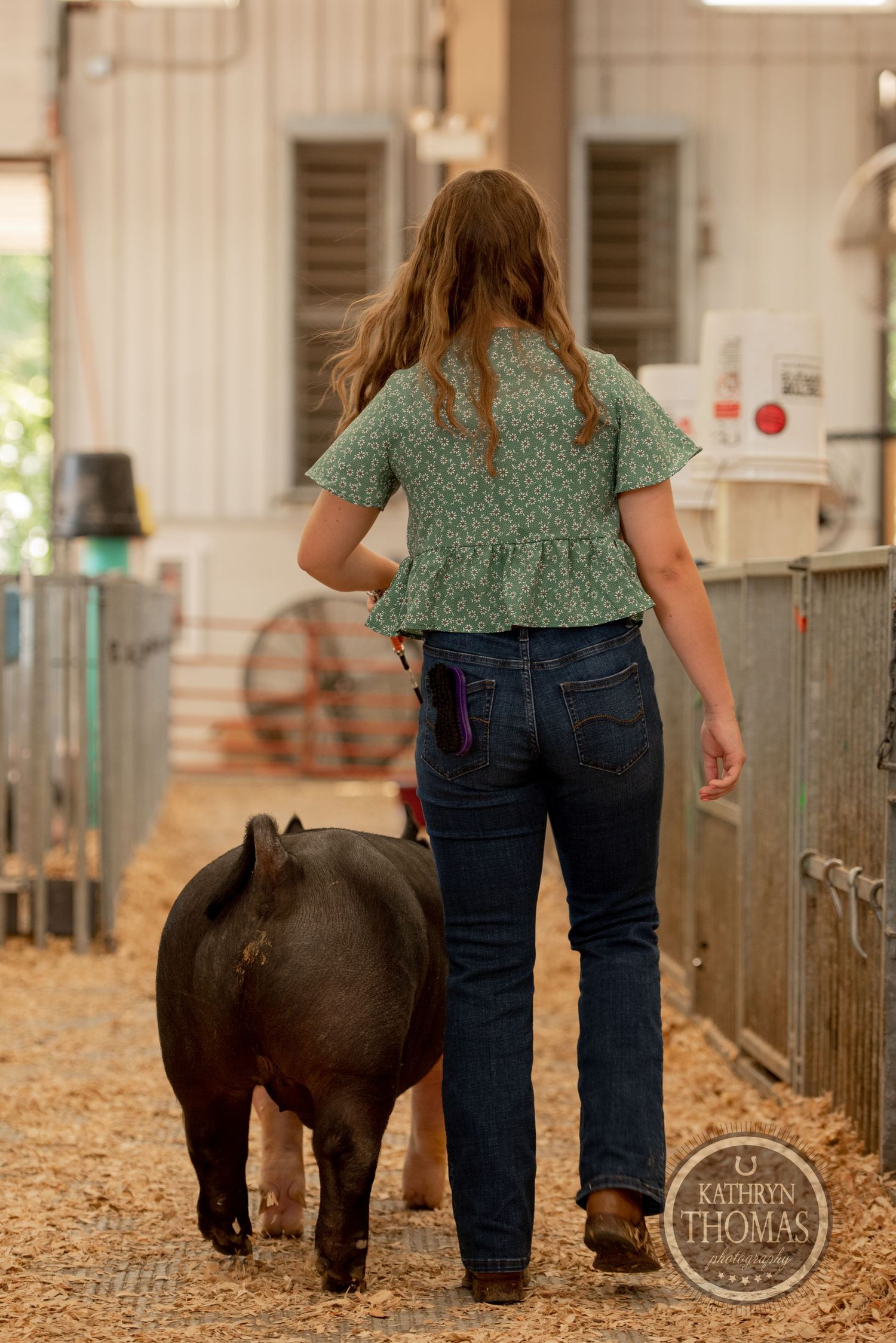 Rear view of someone in a green patterned top walking with a black pig in a barn.