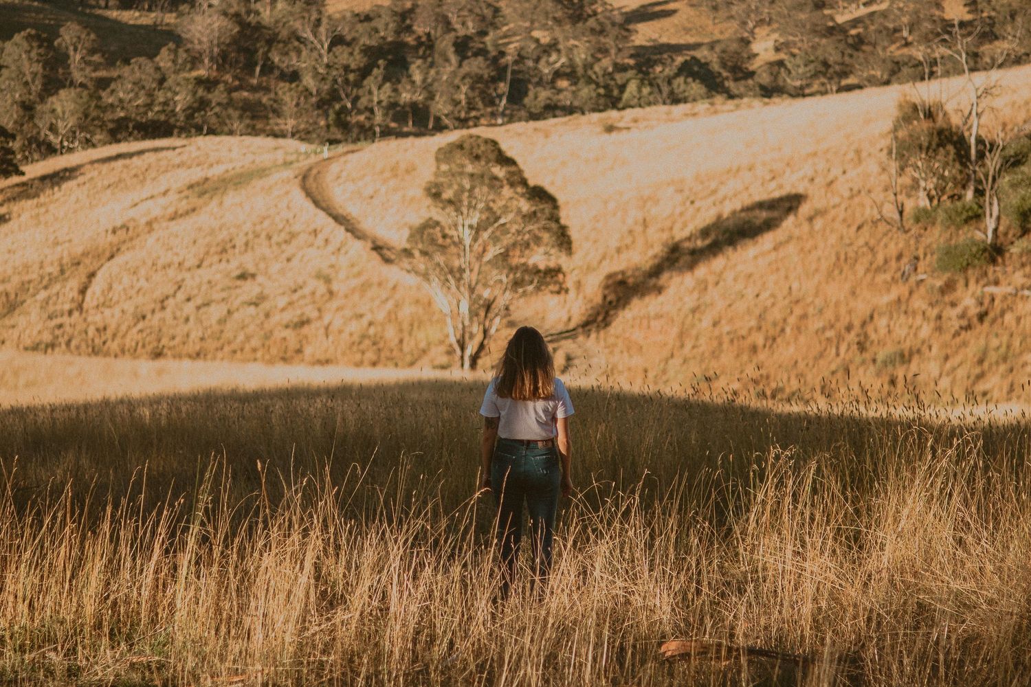Photography in the field