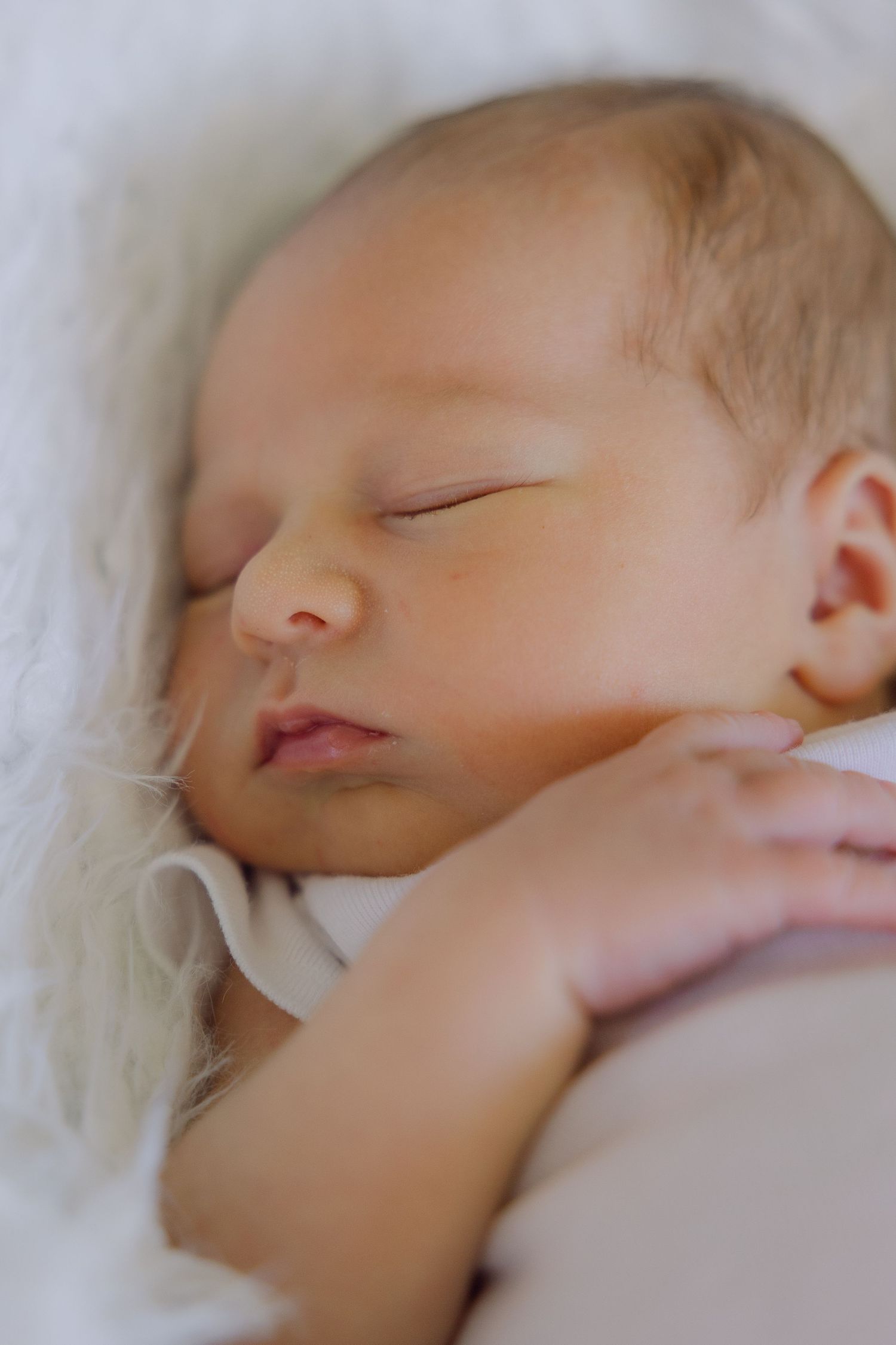 newborn