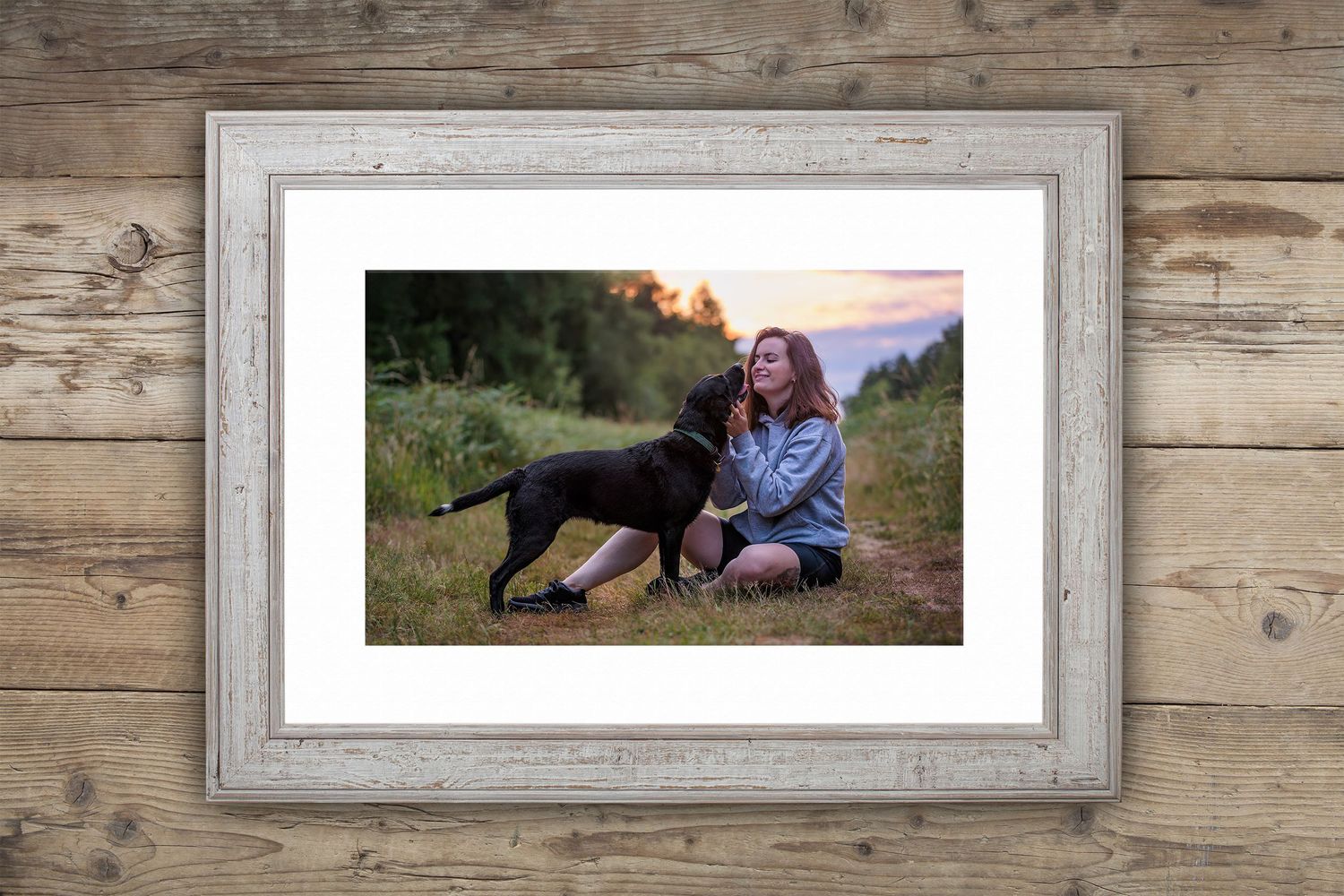 Dog and person sitting together in grassy field during sunset.