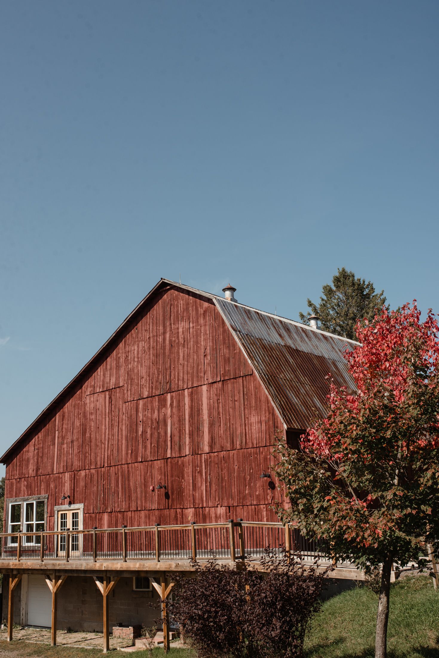 Large red barn with metal roof and autumn trees against clear blue sky.