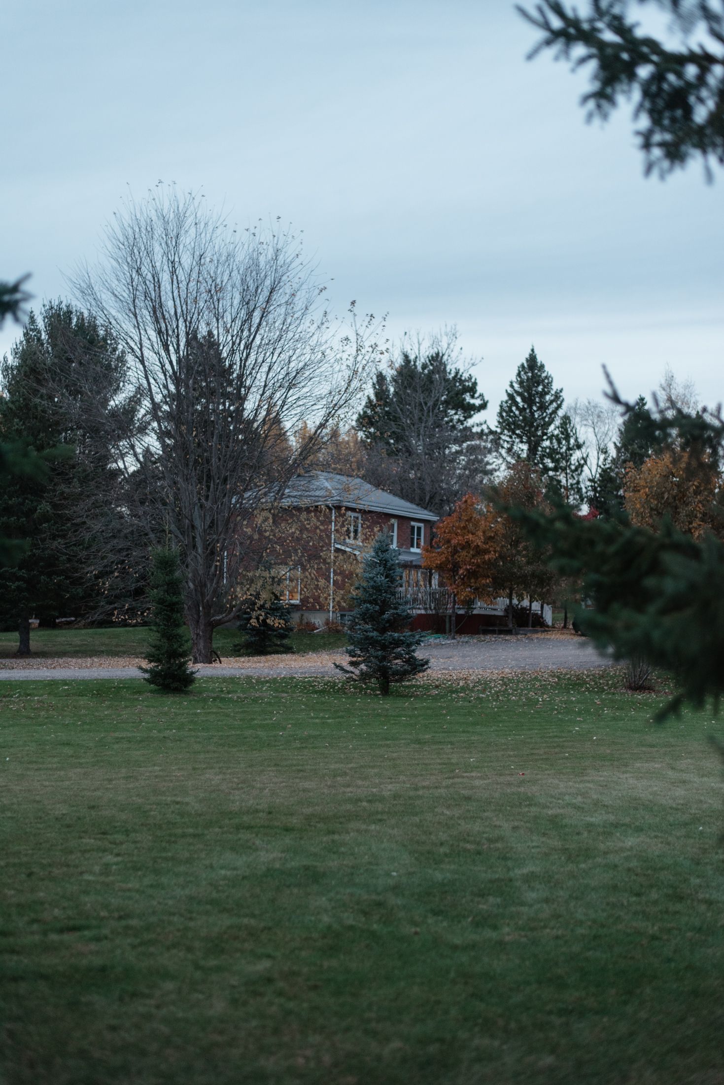 A large brick house sits on a spacious lawn surrounded by evergreen trees on an overcast autumn day.