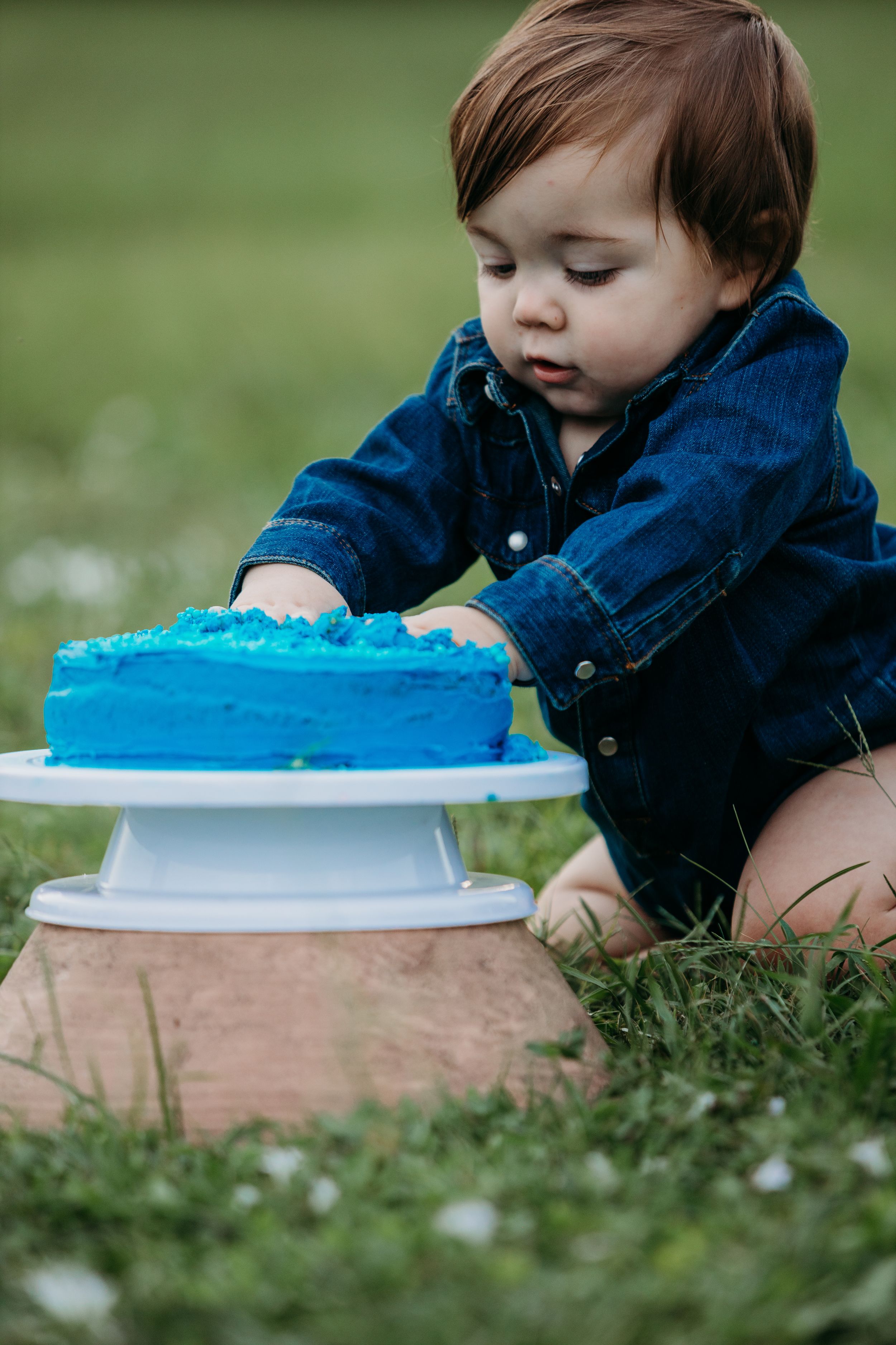 Toddler in denim jacket reaching for blue frosted cake on cake stand in grass.