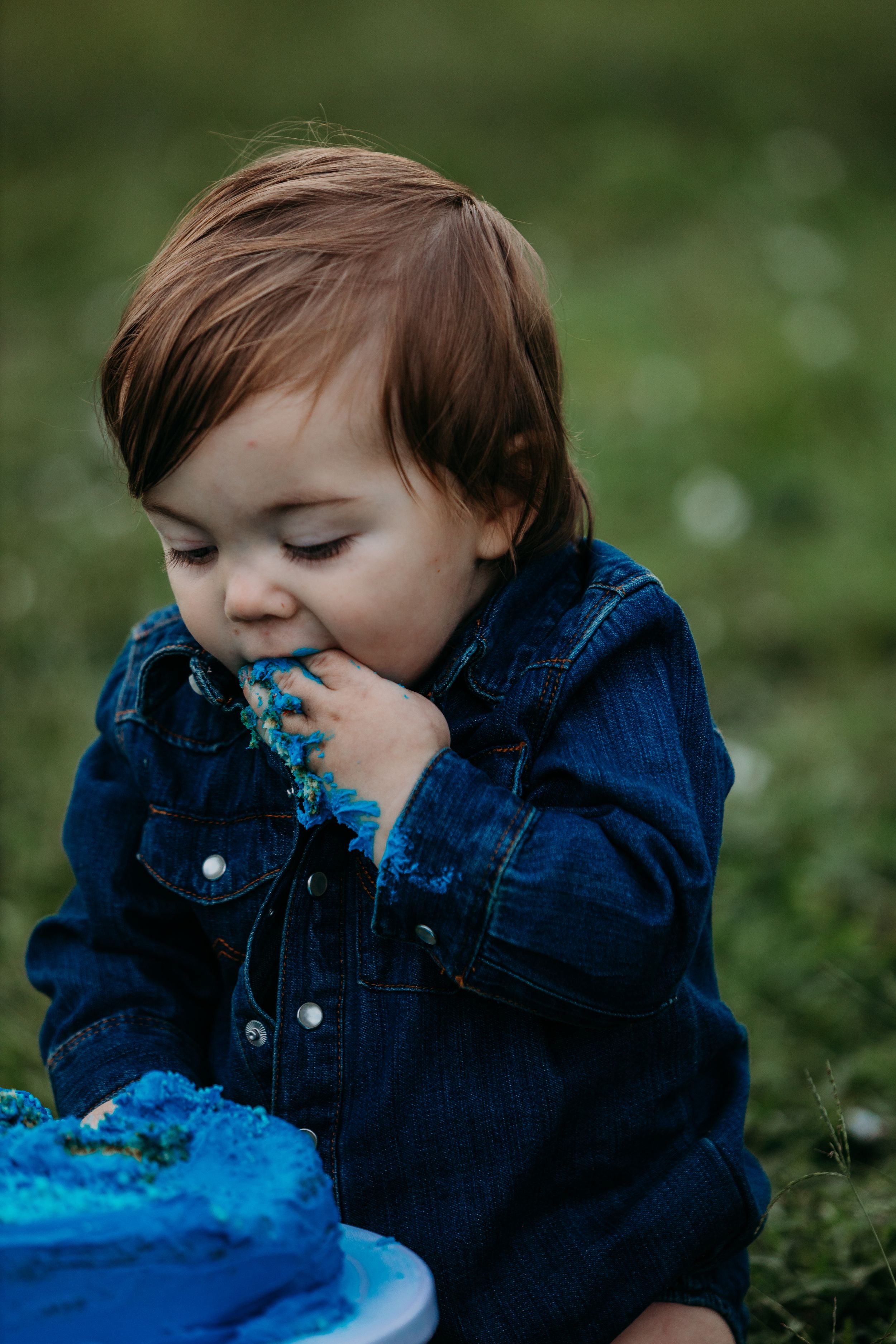 Toddler in denim jacket eating blue cake while sitting in grass.