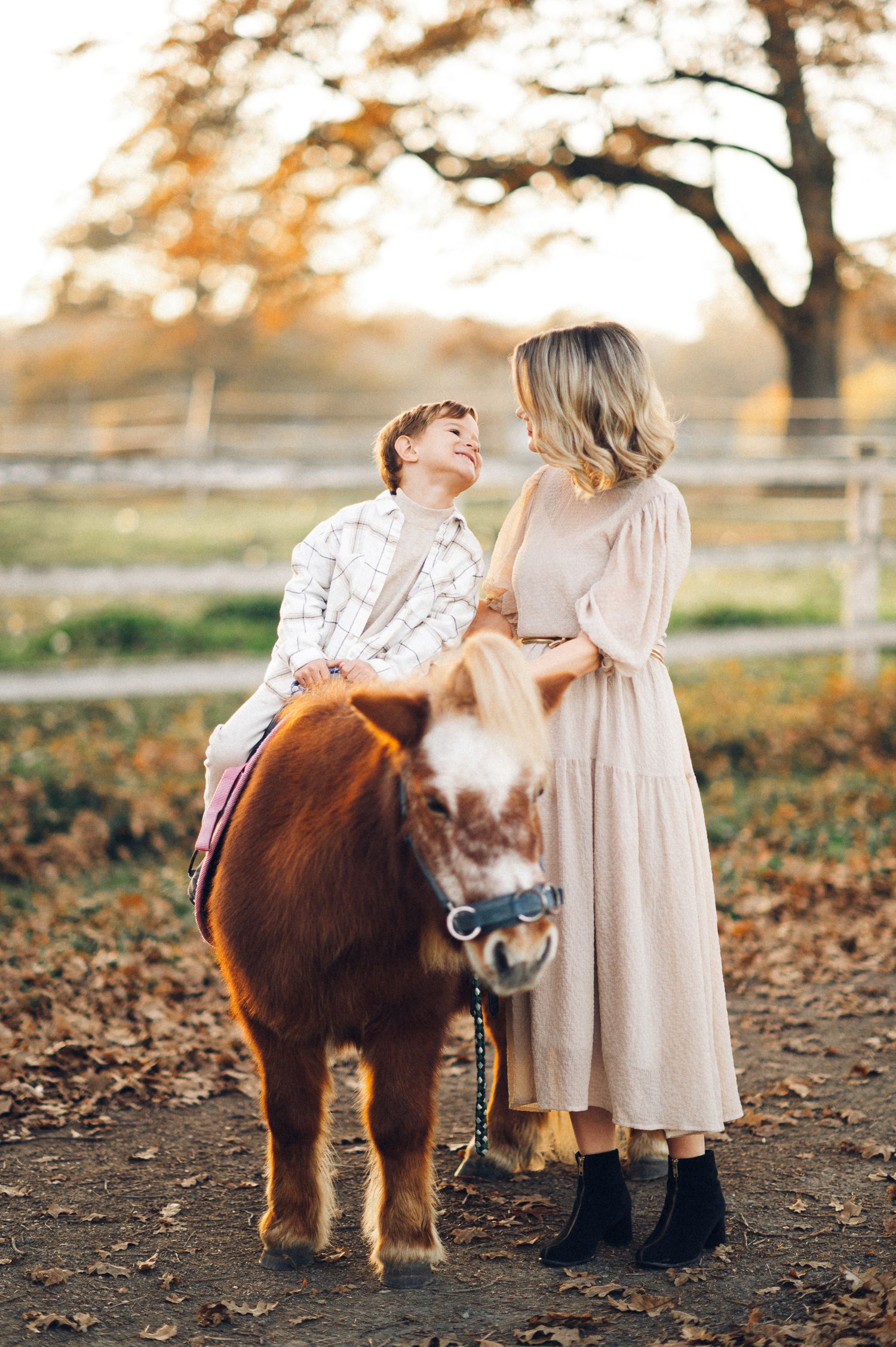 A charming scene with a miniature pony and flowing dresses in an autumn farm setting.