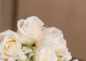 Wedding photography event videography Richmond Virginia New York M.photo EMILY BUTZ Tyler Mahal photo video bride groom bridal Beekman Arms