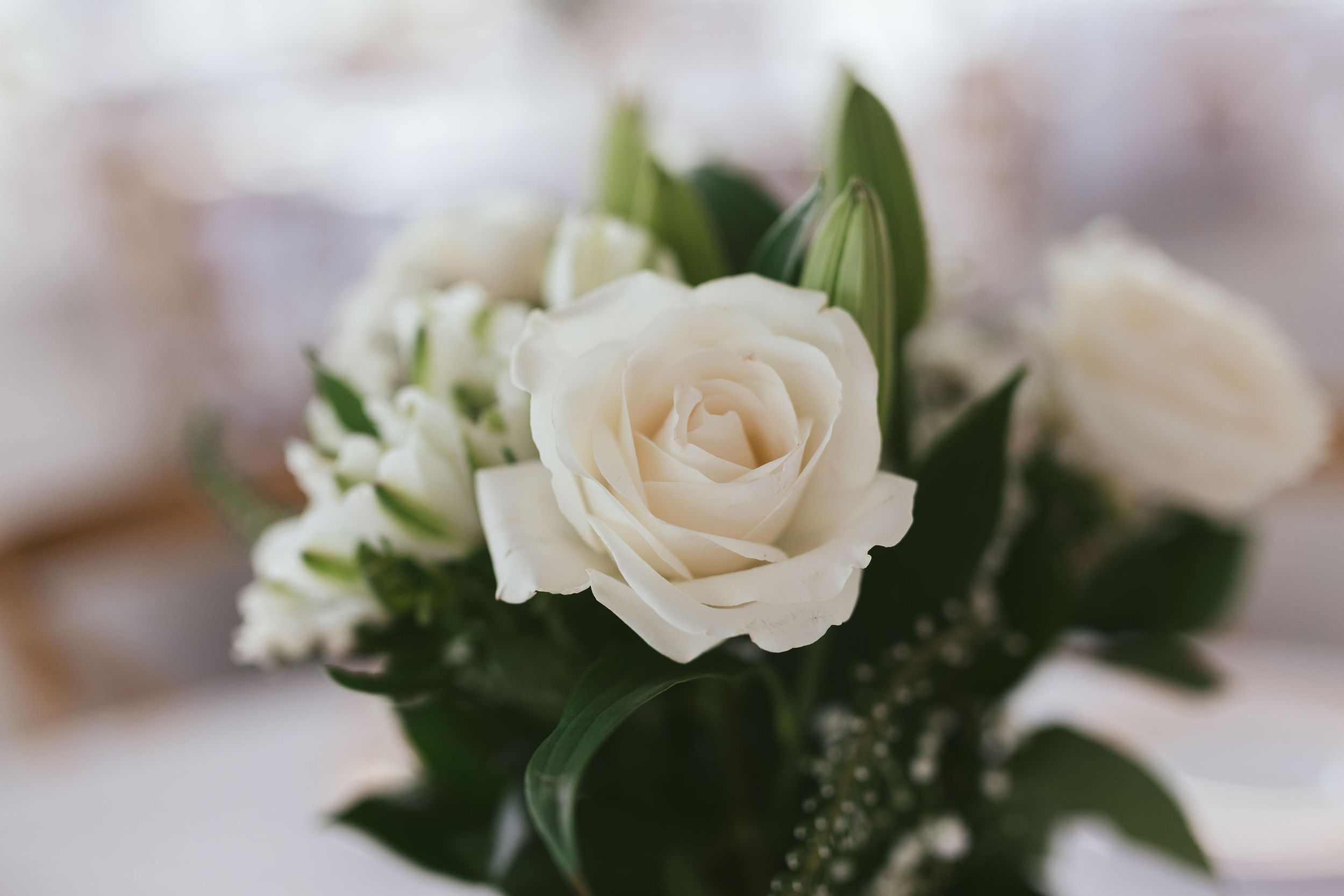 Wedding photography event videography Richmond Virginia New York M.photo EMILY BUTZ Tyler Mahal photo video bride groom bridal Beekman Arms