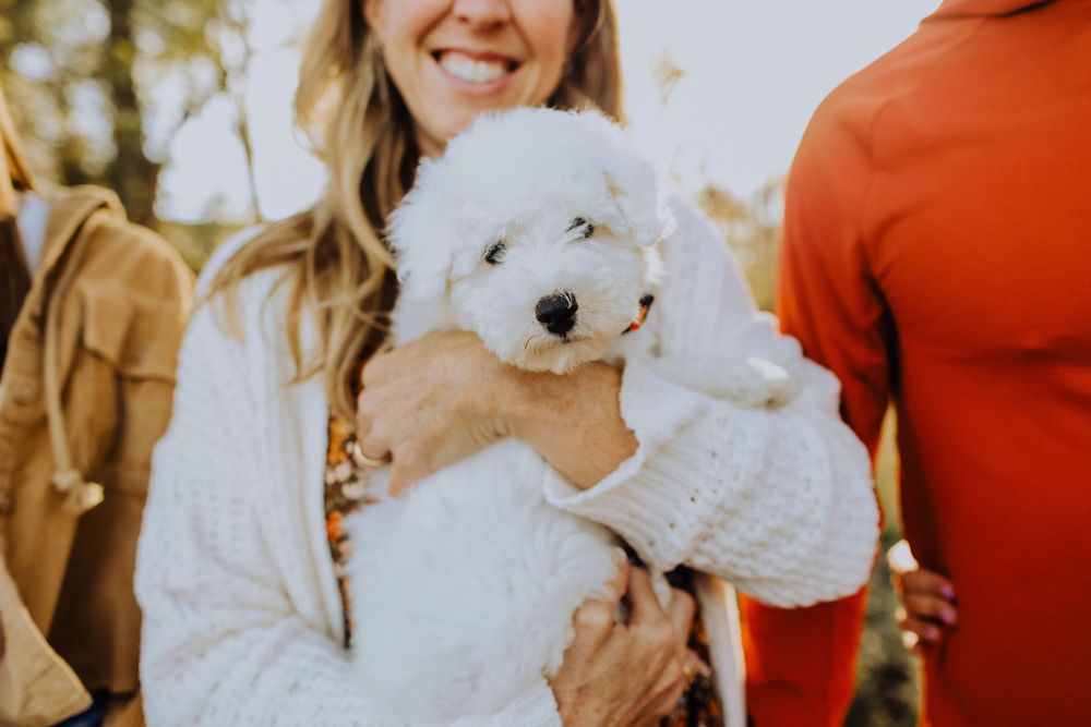 White fluffy dog being held and petted outdoors in autumn sunlight.