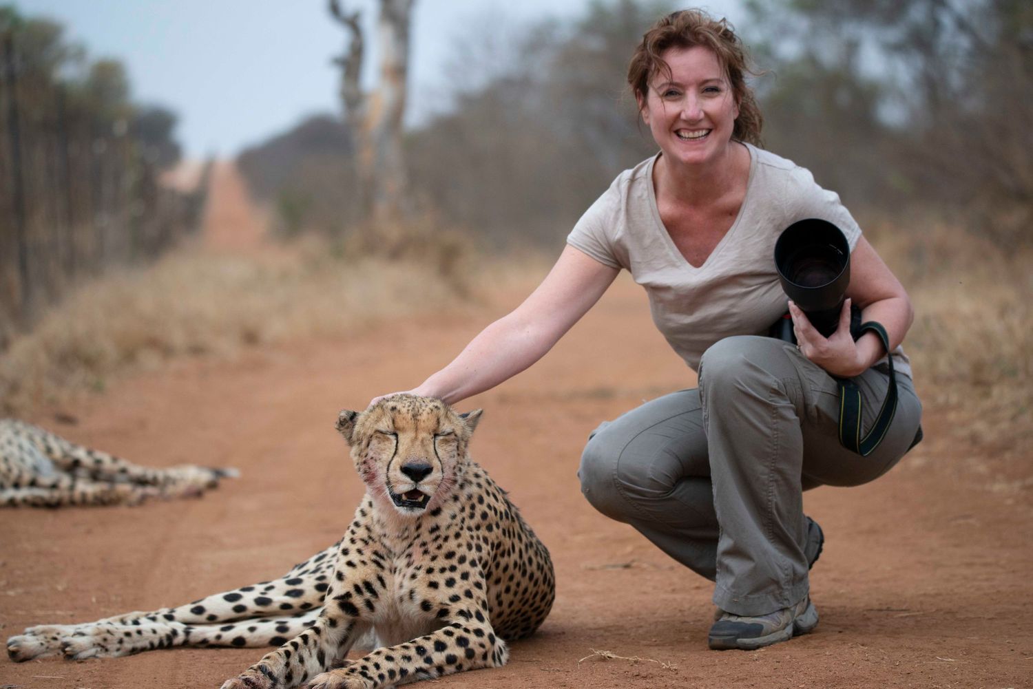 Tshukudu Bush Camp, South Africa