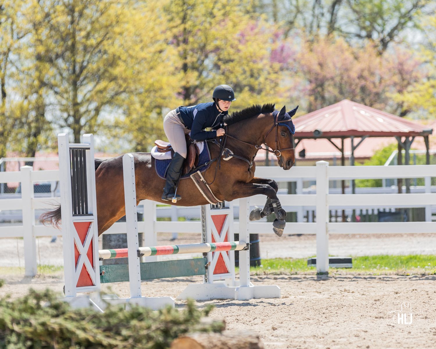 Horse and rider clearing a red and white jump obstacle during an outdoor competition.