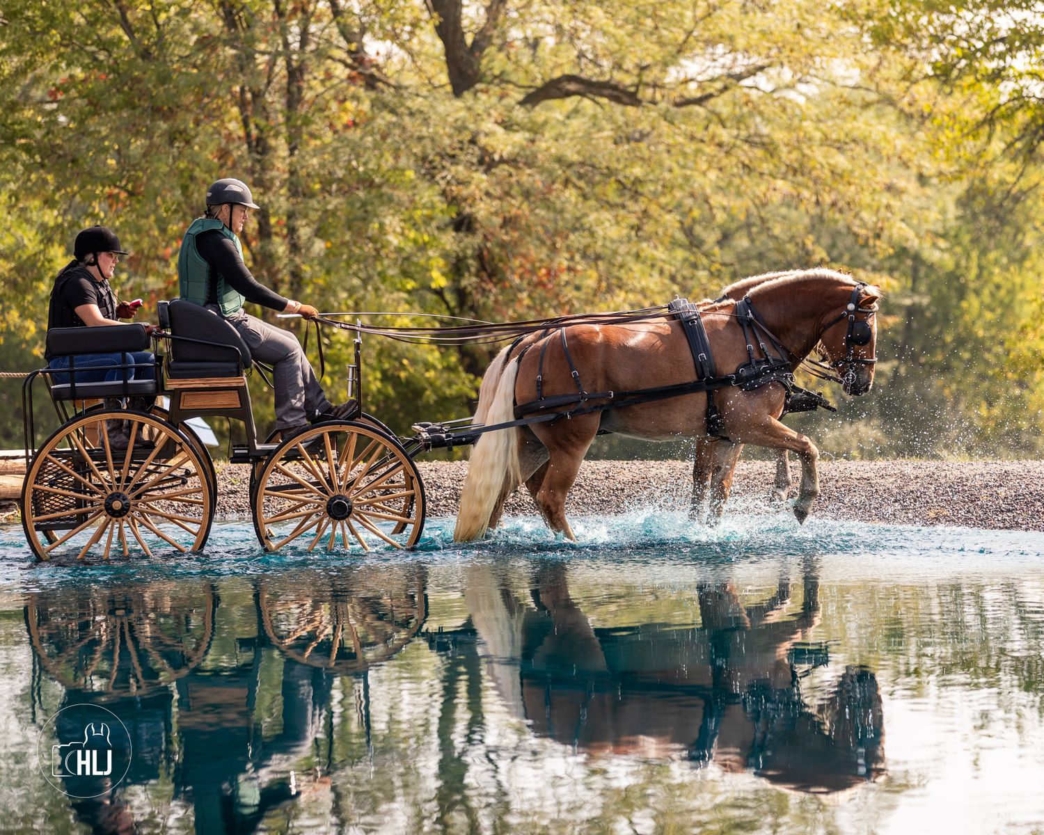 Horse-drawn carriage riding along reflective pond with autumn trees in background.