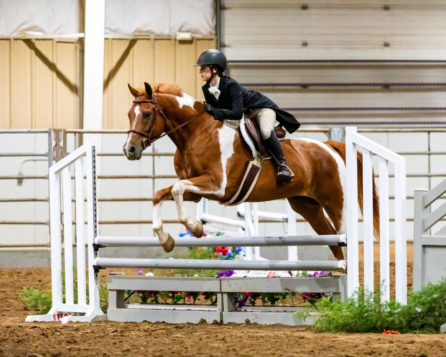 Equestrian rider on chestnut horse jumping over white rails in indoor arena competition.