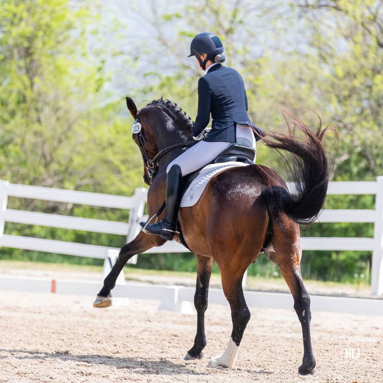Dressage rider on bay horse practicing collected movements in outdoor arena.