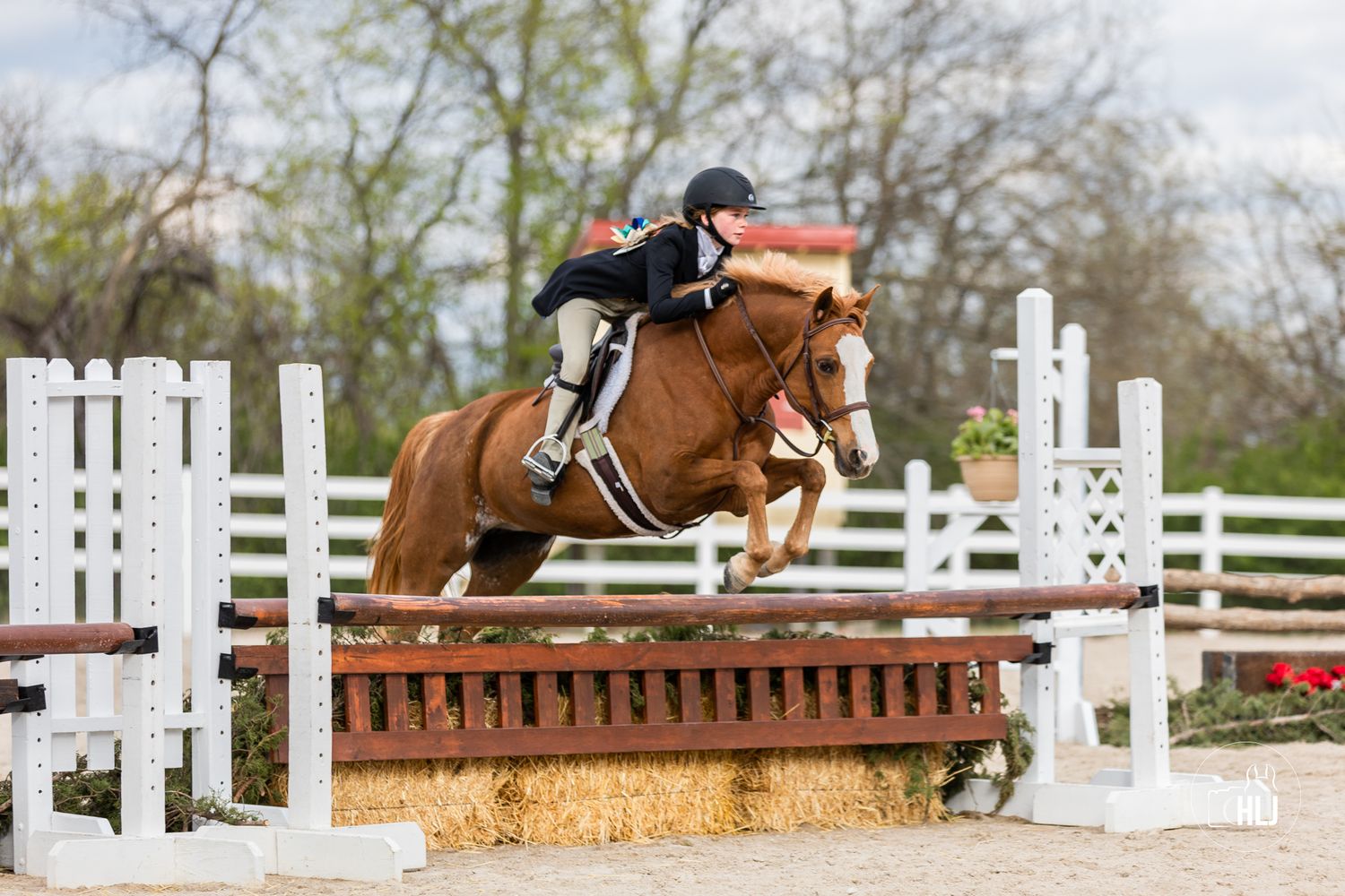 Chestnut horse and rider jumping over white rails and hay bales in outdoor arena.