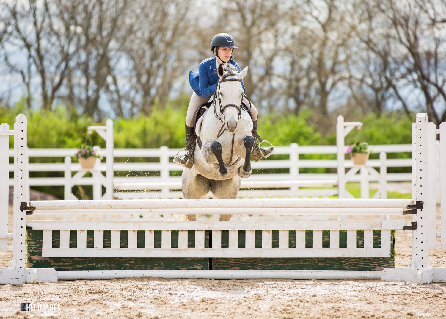 Rider jumping a grey pony over white show jumping poles in an outdoor arena.