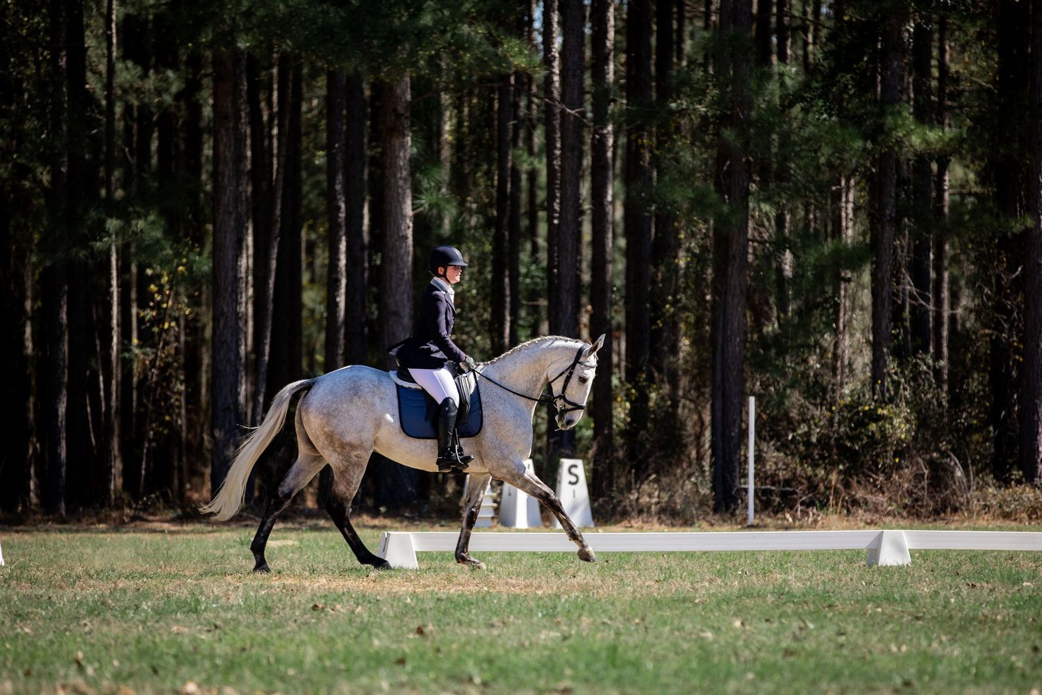 Horse and rider practicing dressage movements in wooded arena setting.