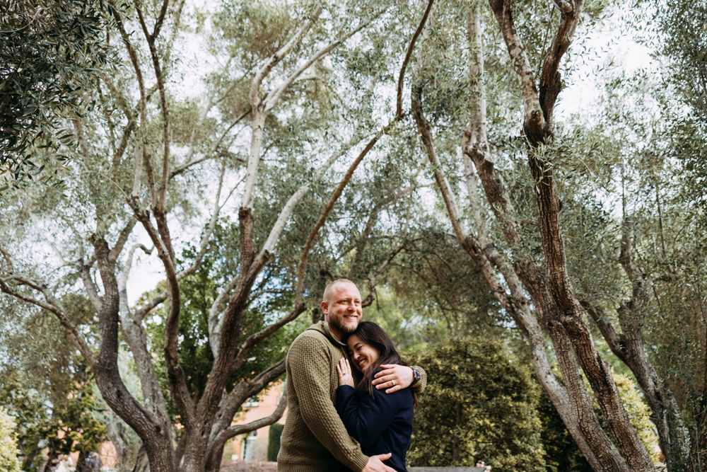 Romantic wide angle picture in olive tree grove