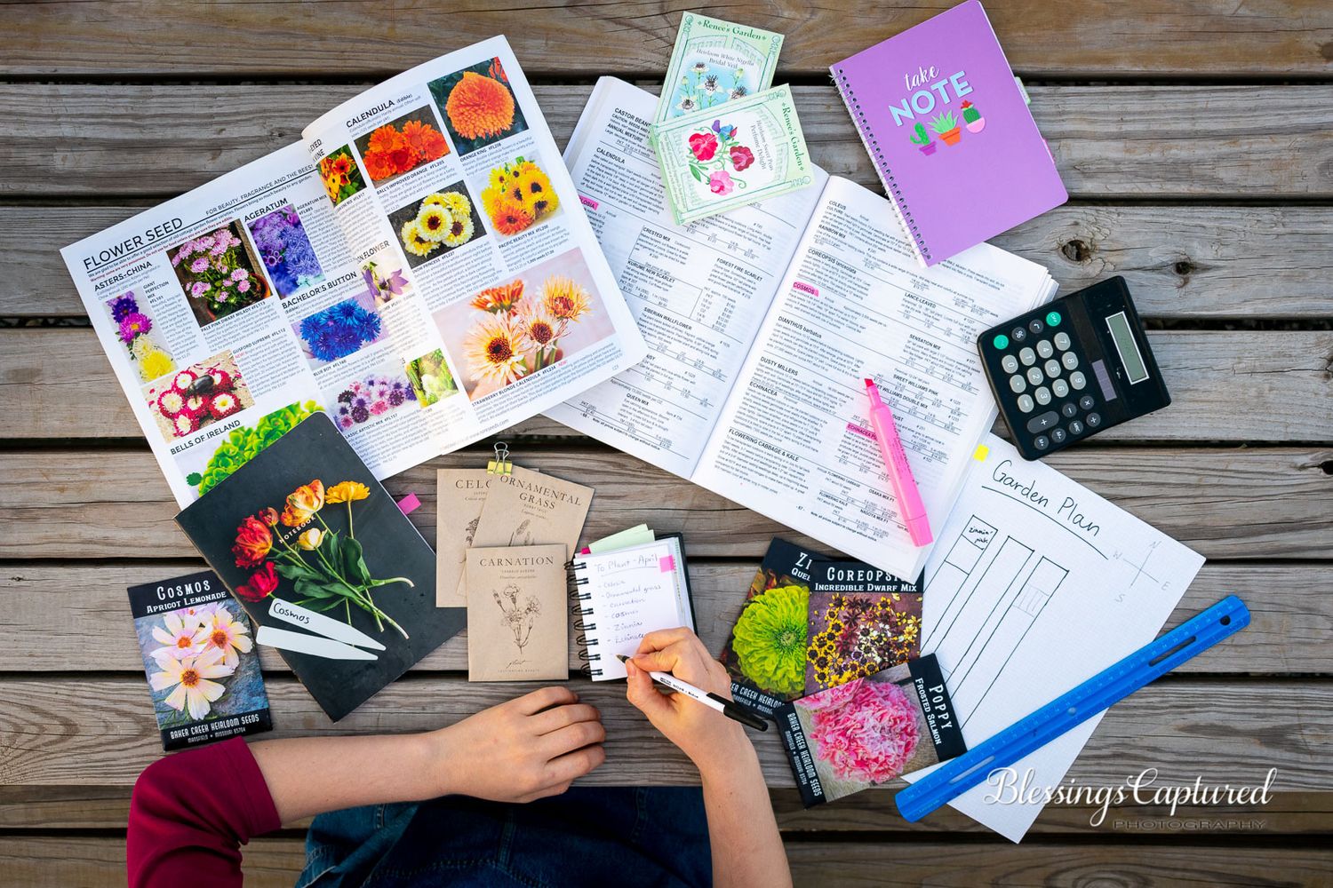 garden planning