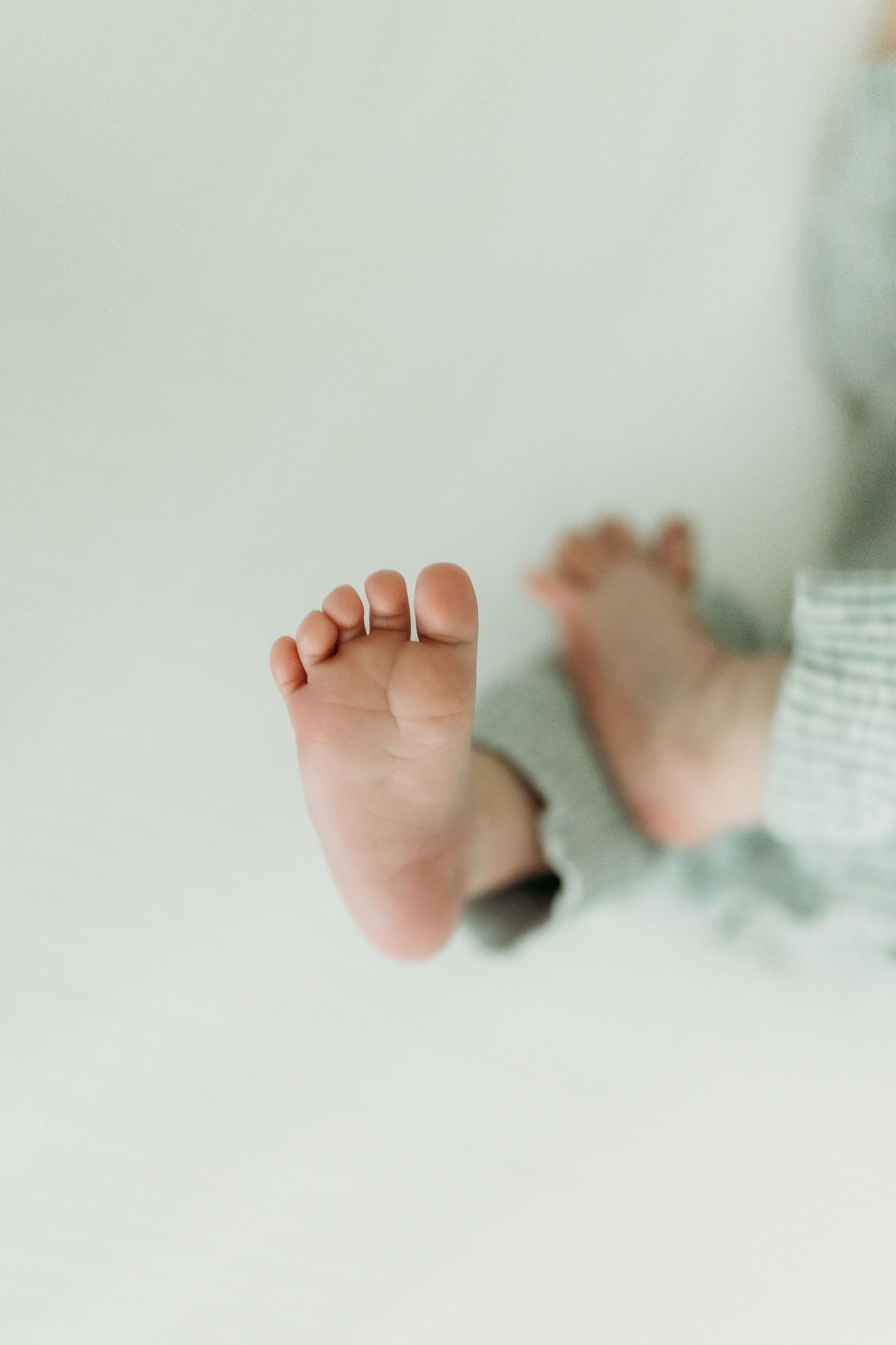 Close-up of tiny baby feet against a white background.