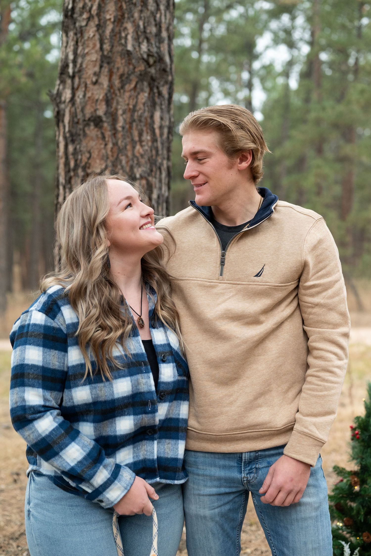 Holiday Mini Sessions in Colorado Springs
