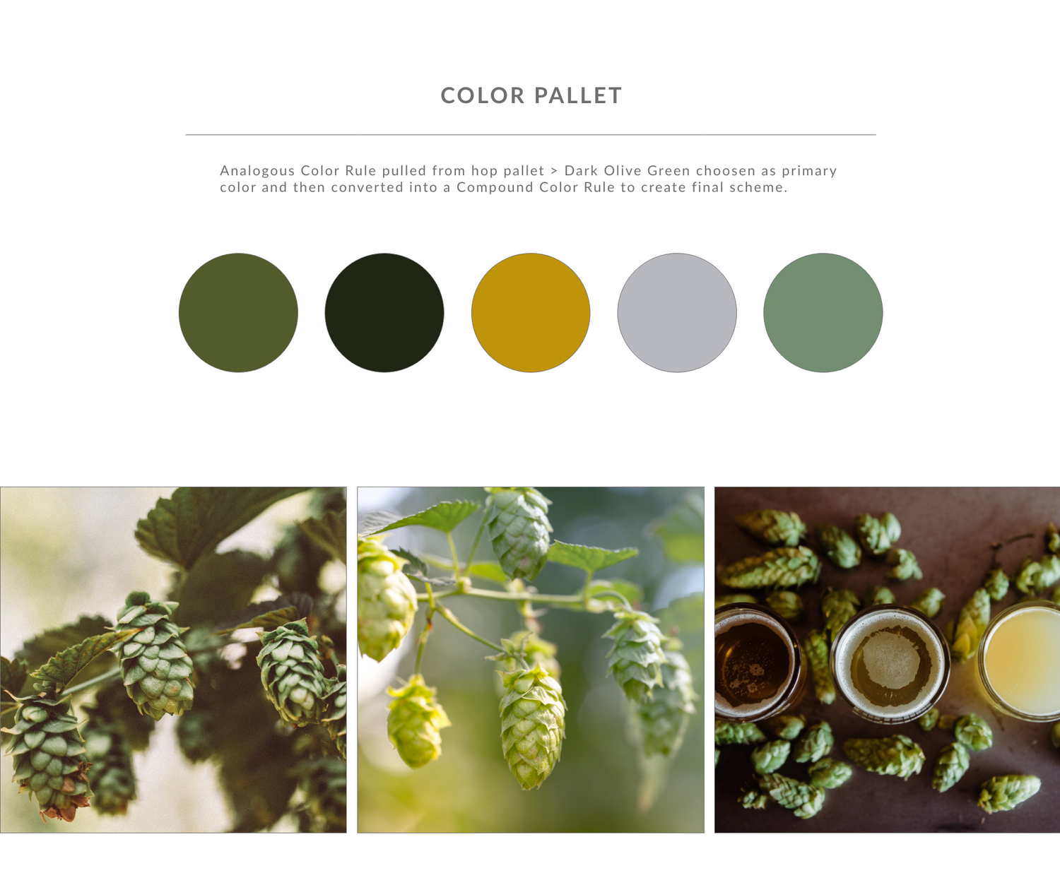 Color palette featuring olive green, black, gold and sage tones with matching hop photography.
