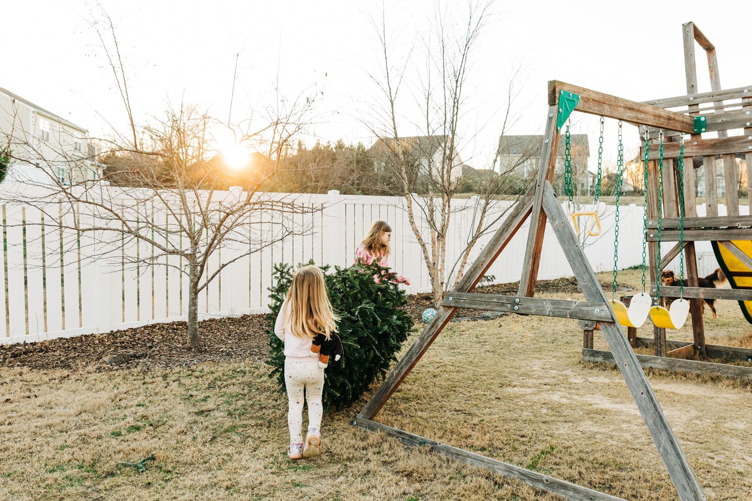 Two little girls carrying around a pine tree for creative play in their backyard