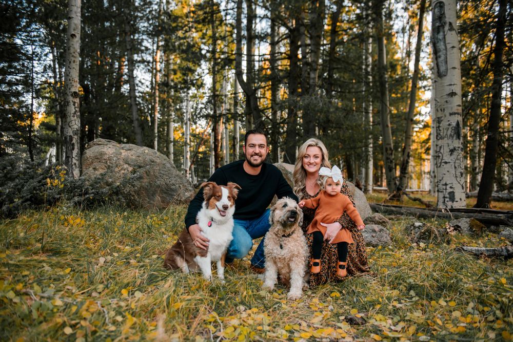 Happy family with their dogs posing in a scenic fall aspen forest.