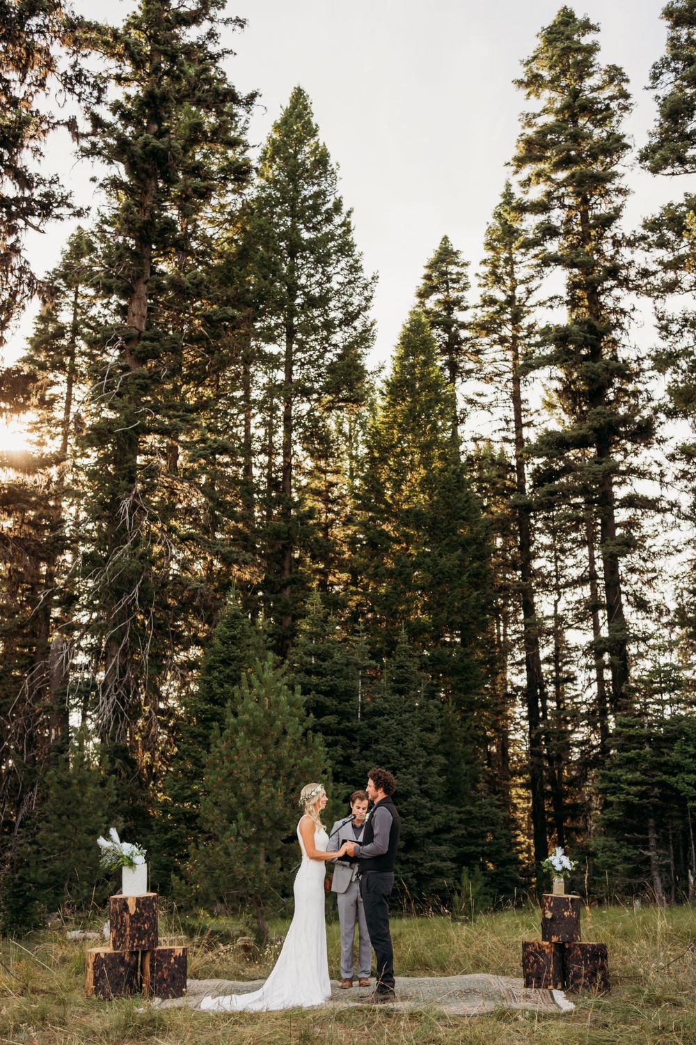 Wedding ceremony setup in a pine forest with rustic wooden decorations.