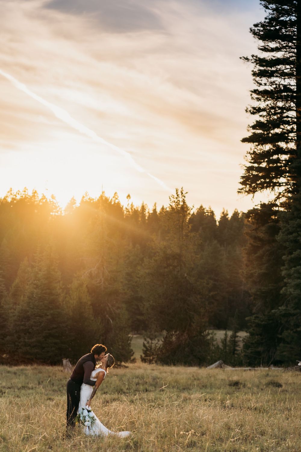 Romantic sunset silhouette in mountain meadow with towering pine trees.