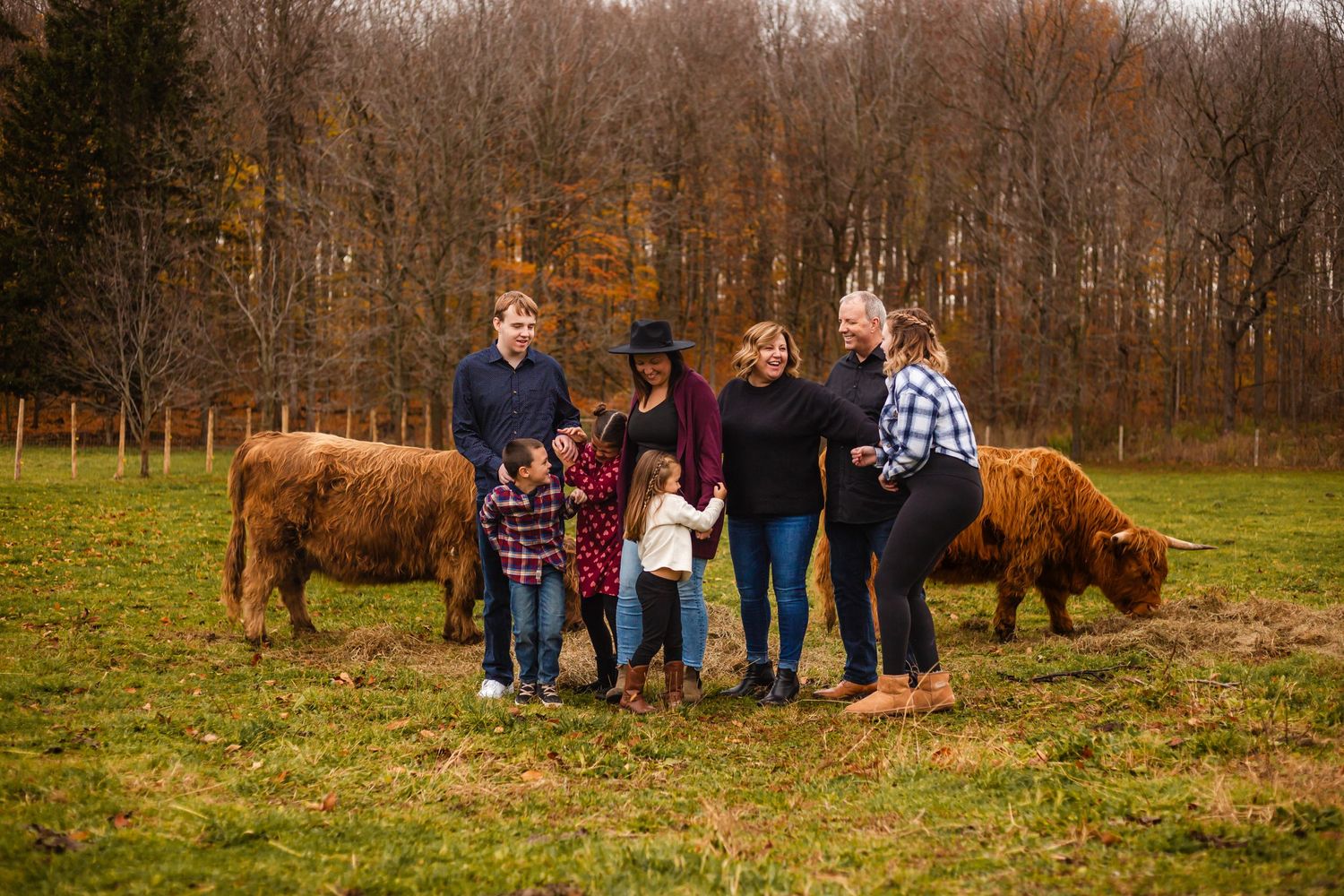 5 adults and 3 children tickling each other in front of two Highland cows