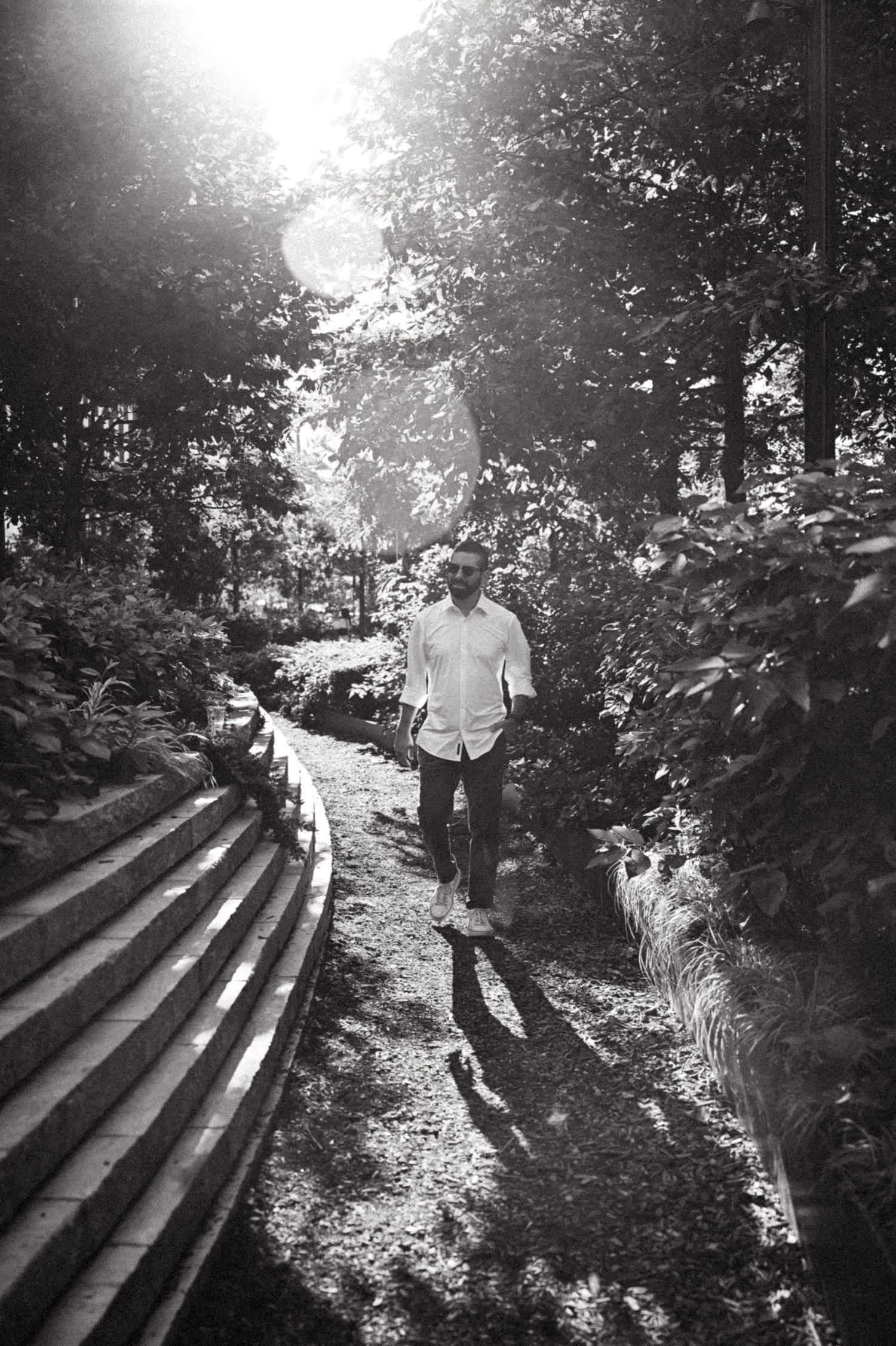 A sunlit path with stone steps through lush greenery creates a peaceful garden scene.