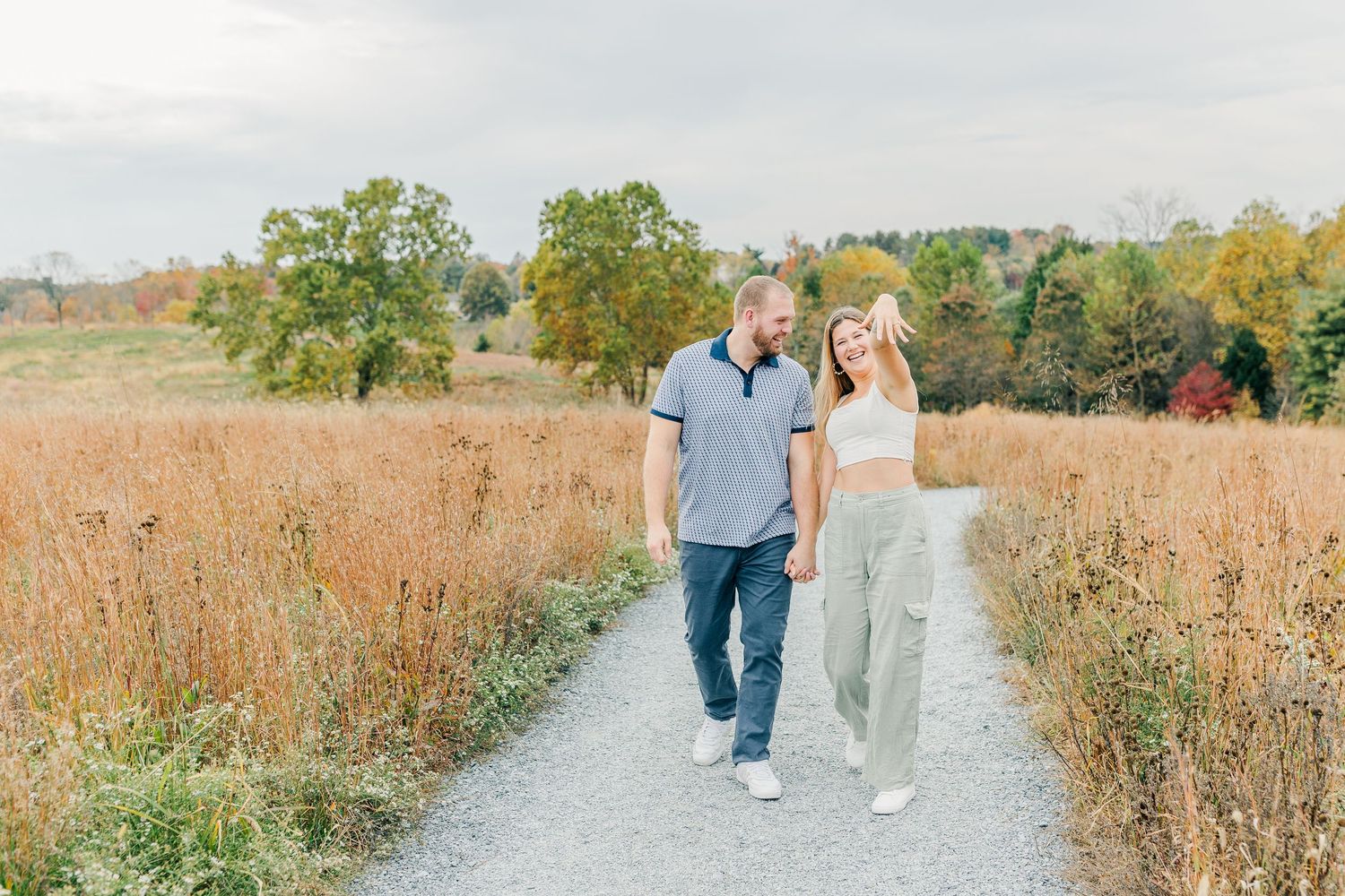 northern virginia surprise proposal glenstone museum