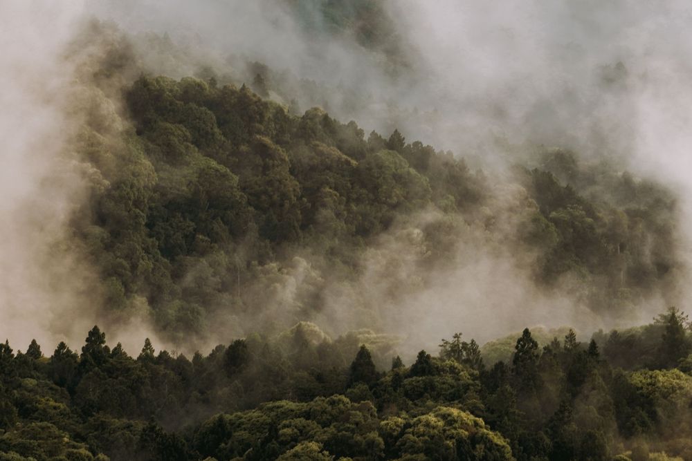 山海視覺 登山照