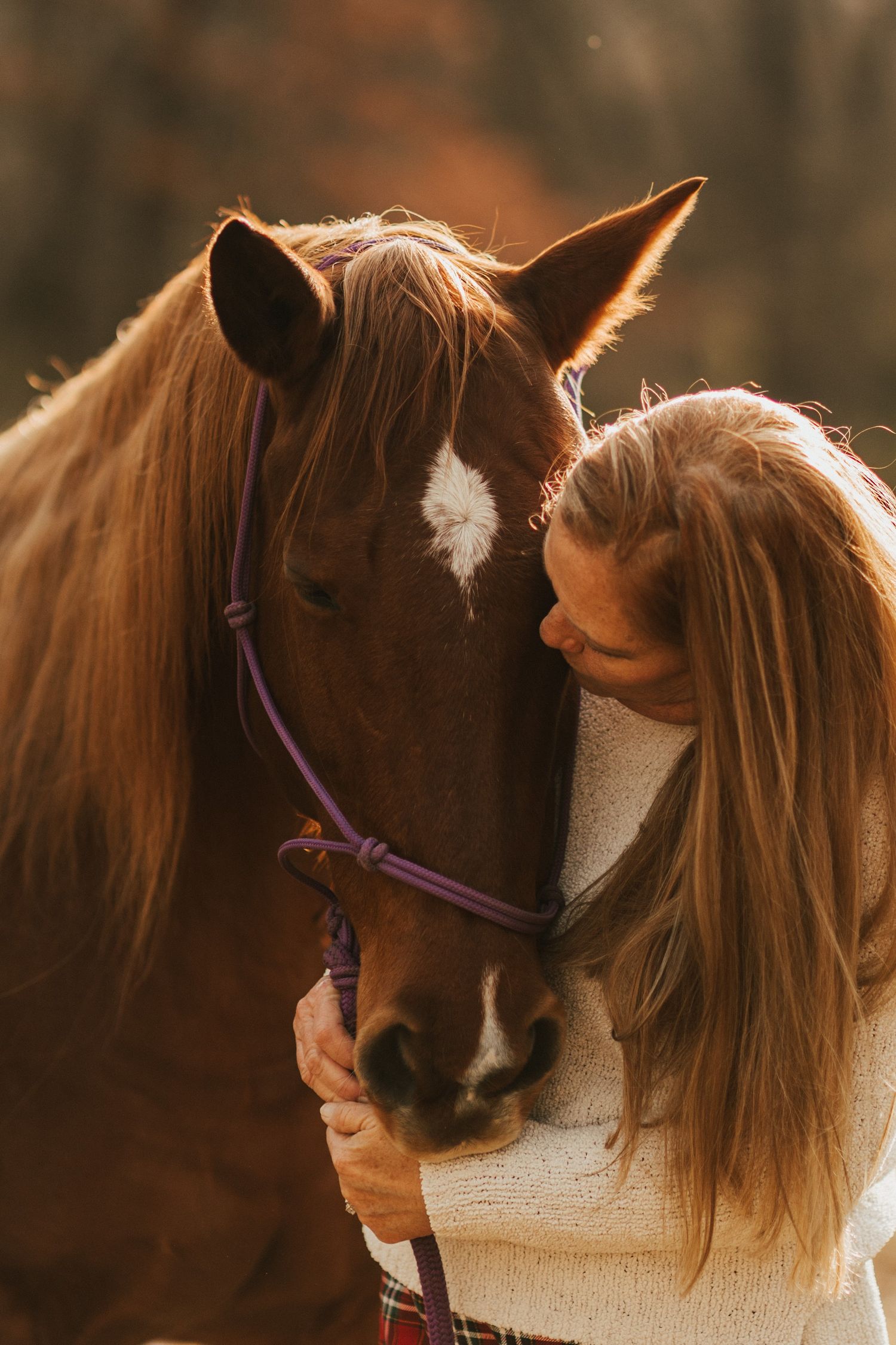 A tender moment between a brown horse wearing a purple halter and someone in a white sweater against a warm sunset backdrop.