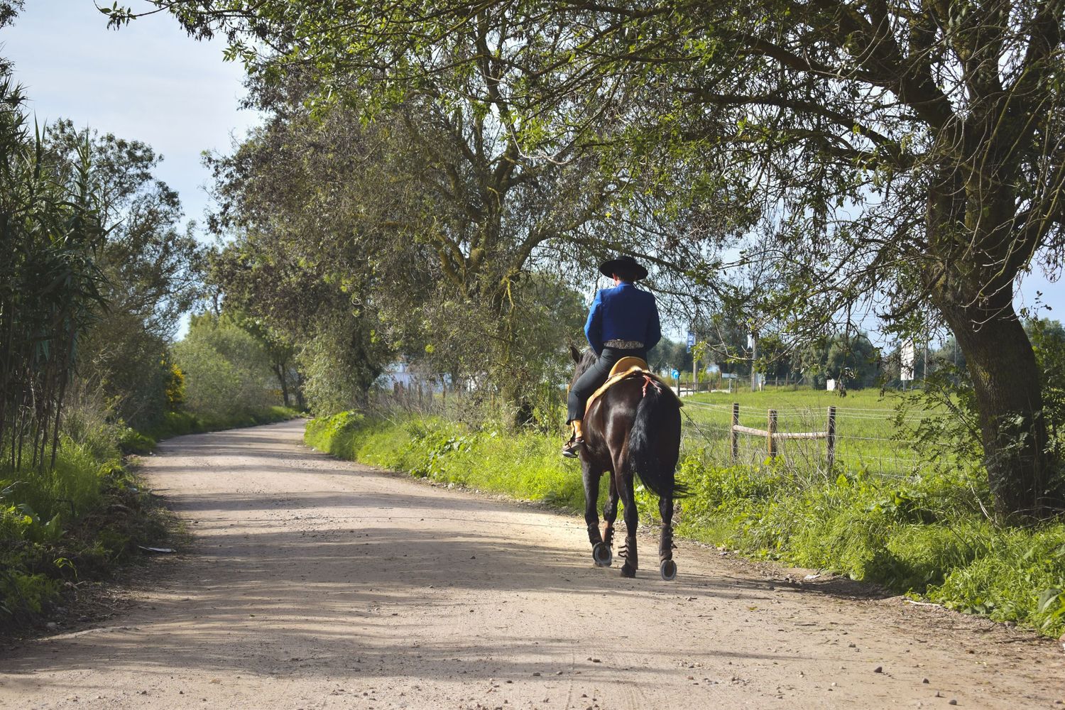 homem a cavalo, pelo campo verdejante, novembro 2022
